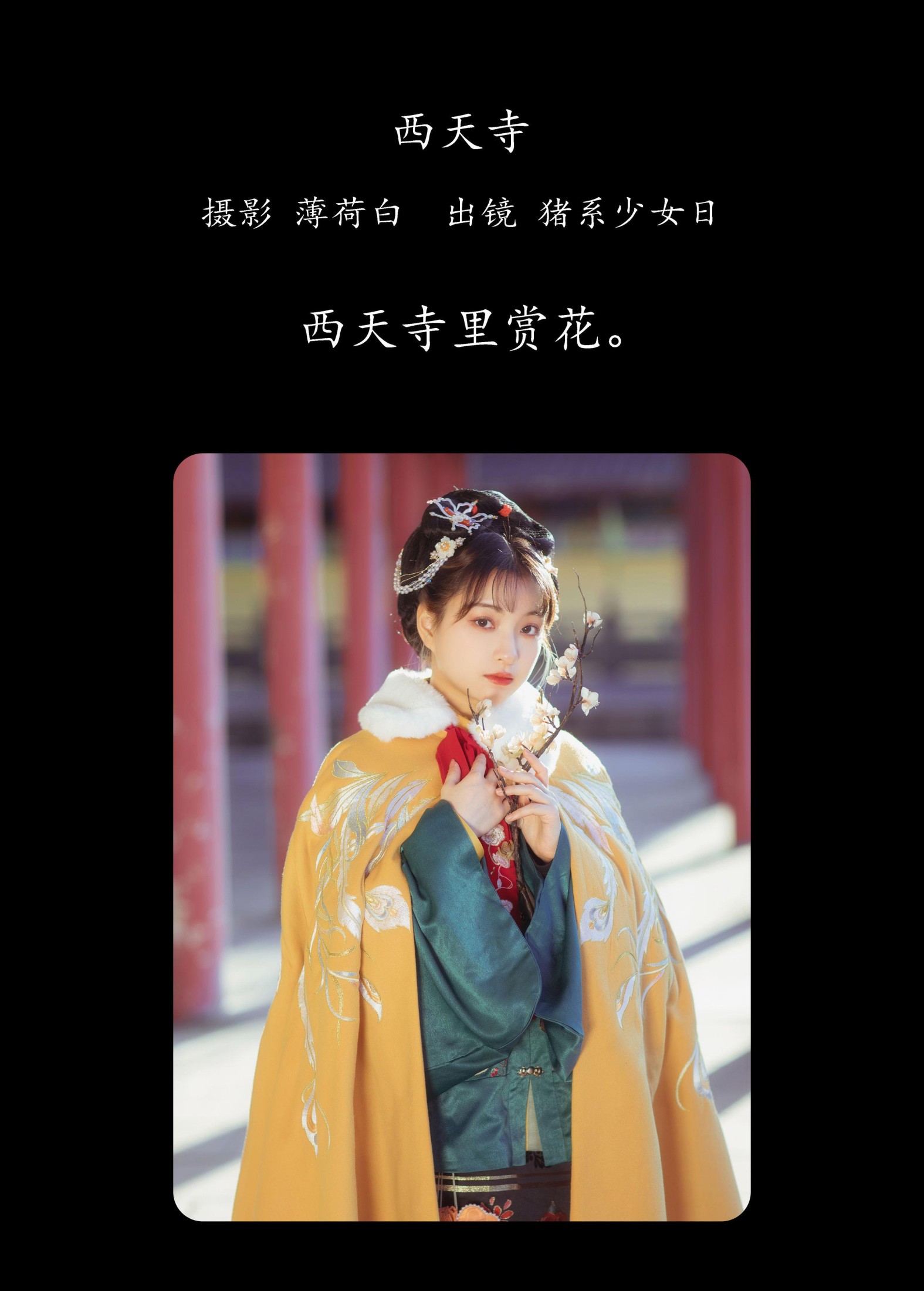 图片[2] - 猪系少女日 - 《西天寺》[18P] - 机器猫次元 - 机器猫次元