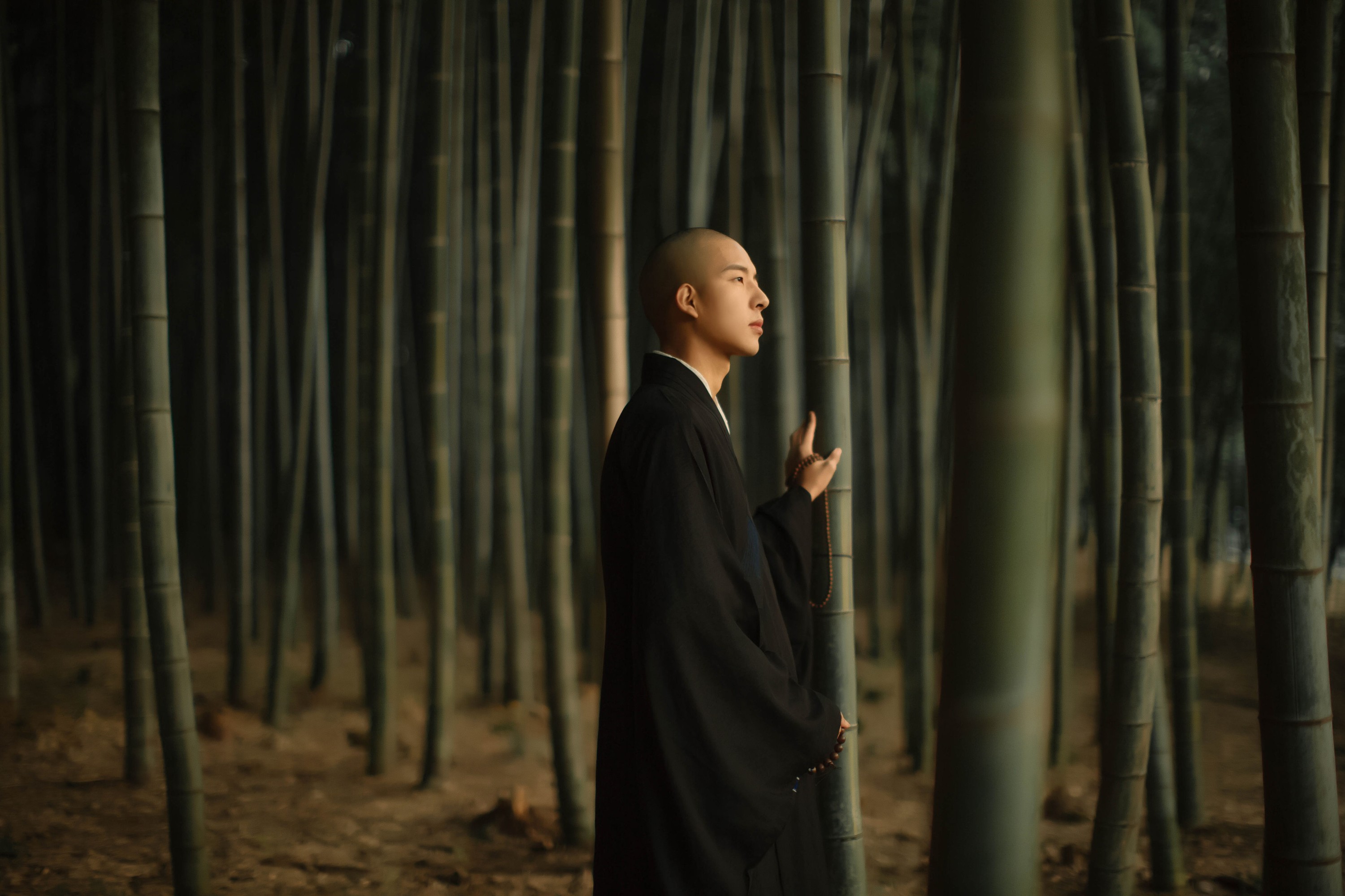 图片[7] - 青暮从山 - 《不负》[25P] - 机器猫次元 - 机器猫次元