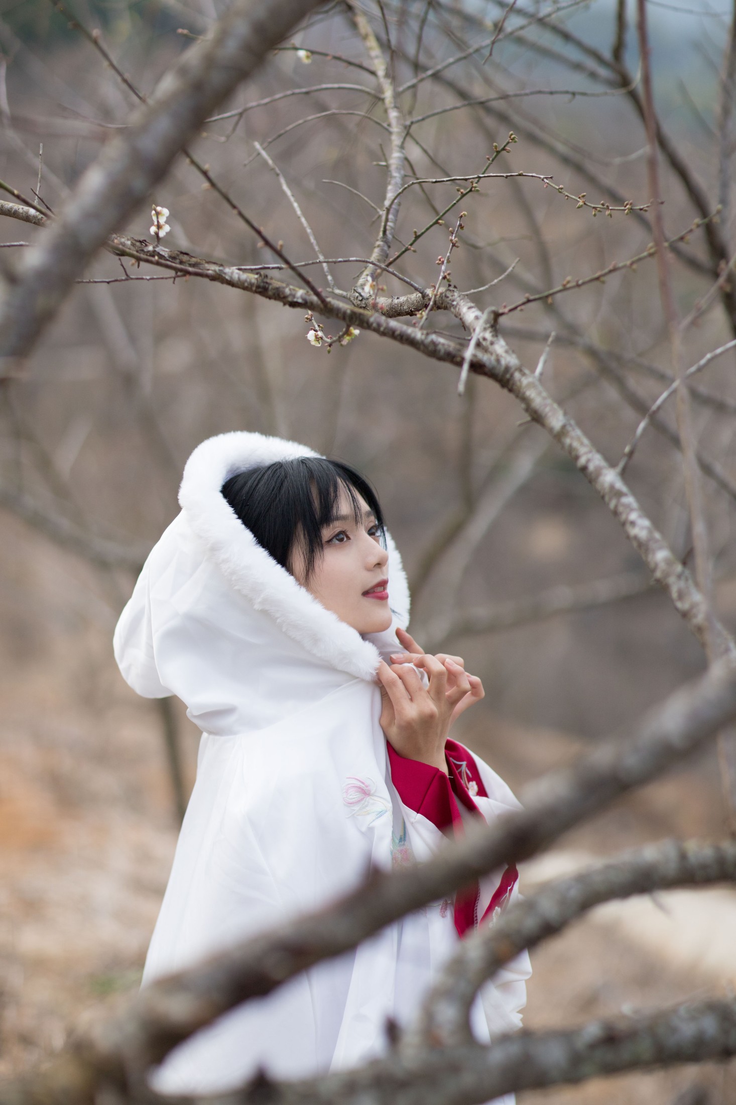图片[3] - 雨文 - 《红昭愿》[23P] - 机器猫次元 - 机器猫次元