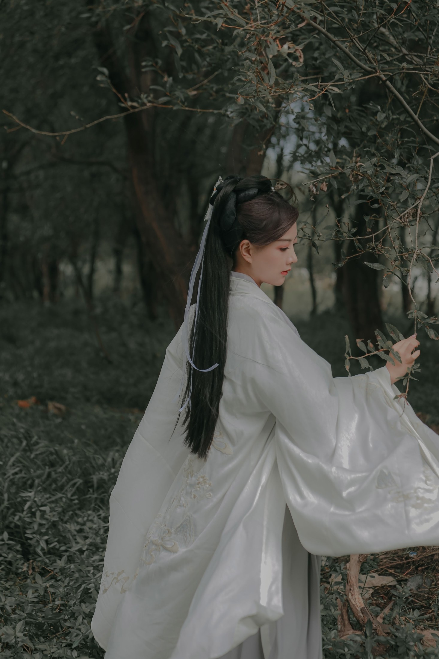图片[7] - 纳沙 - 《柳扶风》[35P] - 机器猫次元 - 机器猫次元
