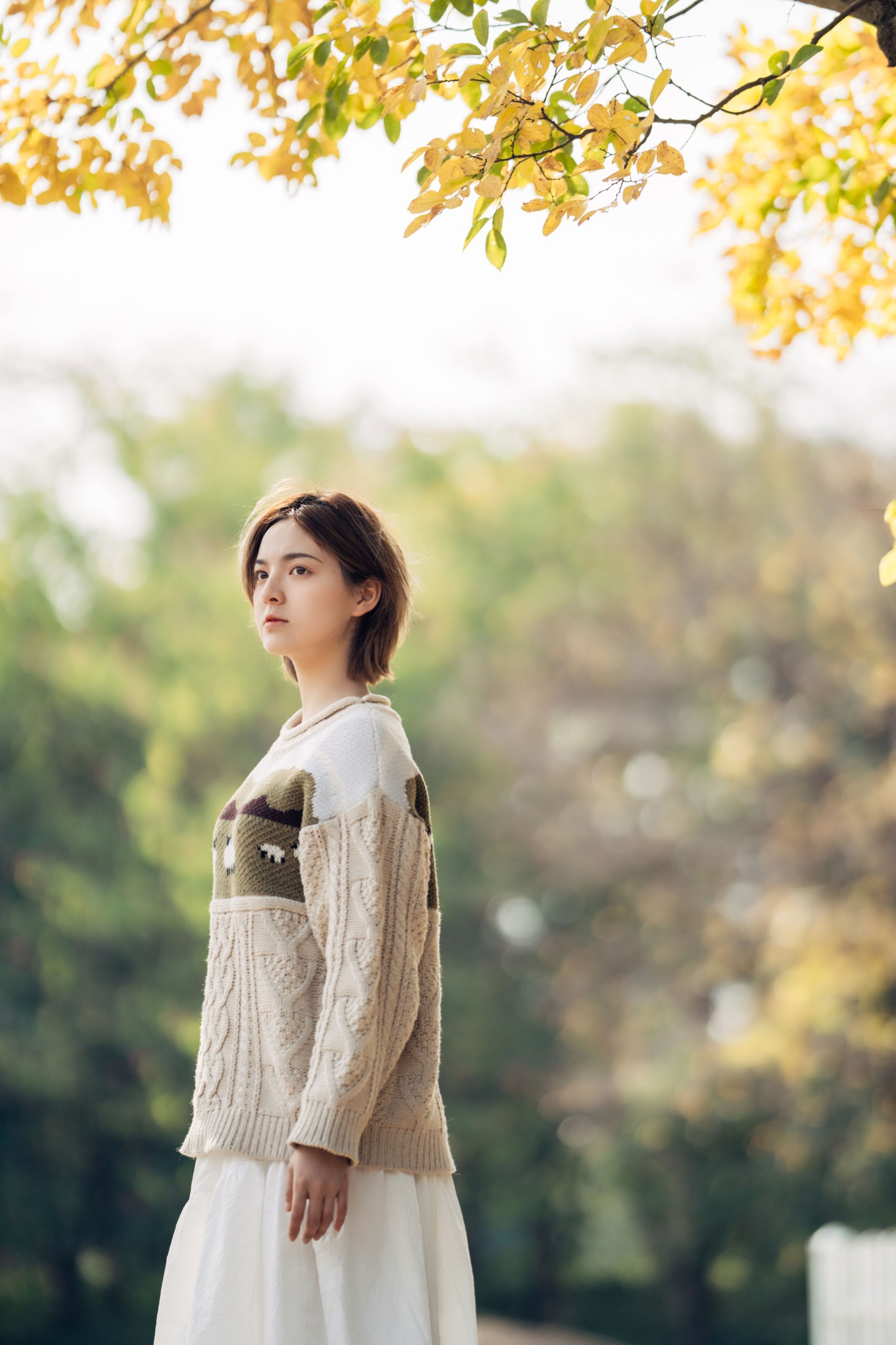 图片[3] - 冯玉憬 - 《暖冬银杏，18岁的素颜女孩》[35P] - 机器猫次元 - 机器猫次元