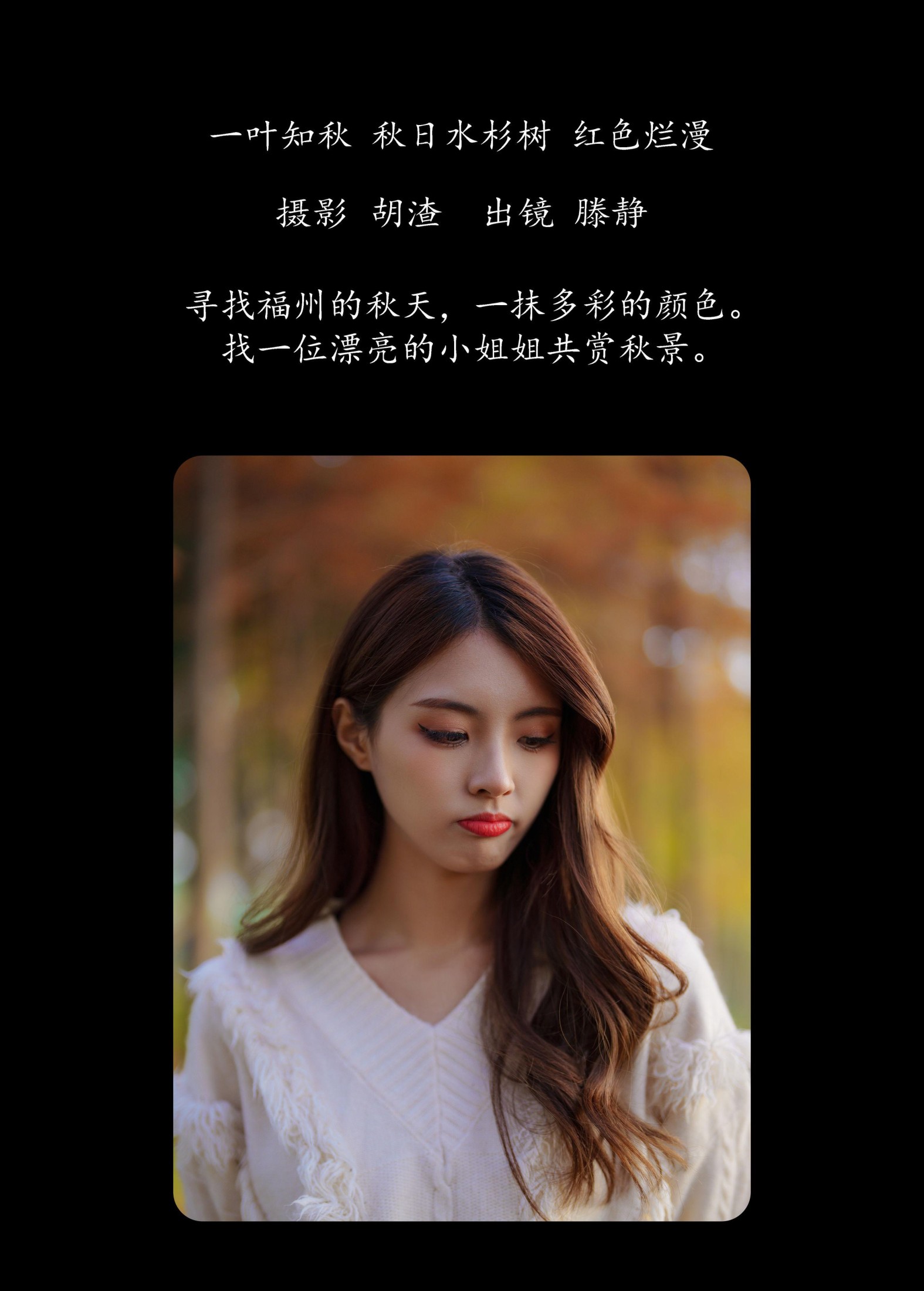 图片[2] - 滕静 - 《一叶知秋，秋日水杉树，红色烂漫》[50P] - 机器猫次元 - 机器猫次元