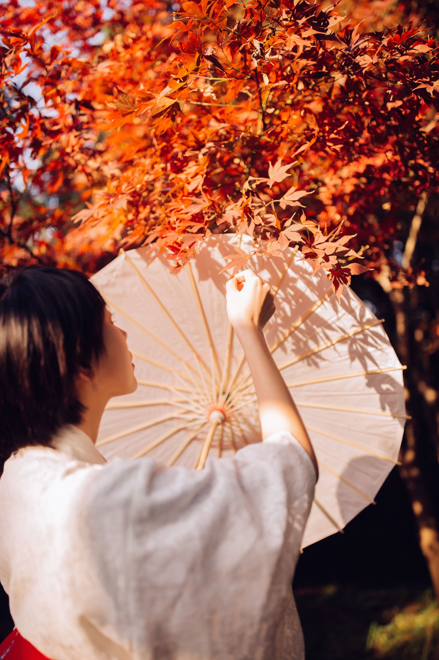 图片[6] - 君洳 - 《枫》[47P] - 机器猫次元 - 机器猫次元