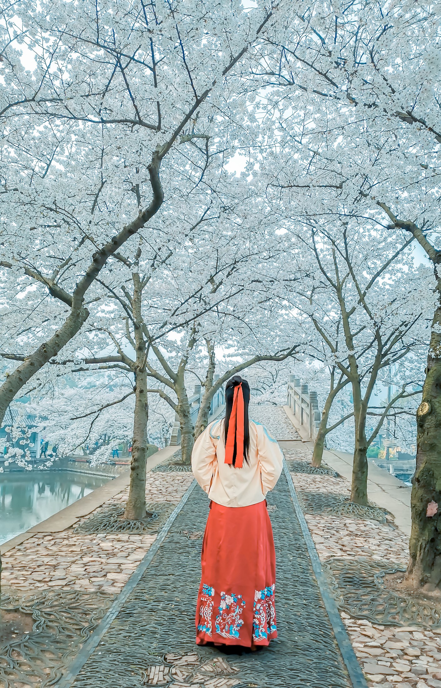 图片[3] - 阿紫 - 《等一场春暖 待一树花开》[20P] - 机器猫次元 - 机器猫次元