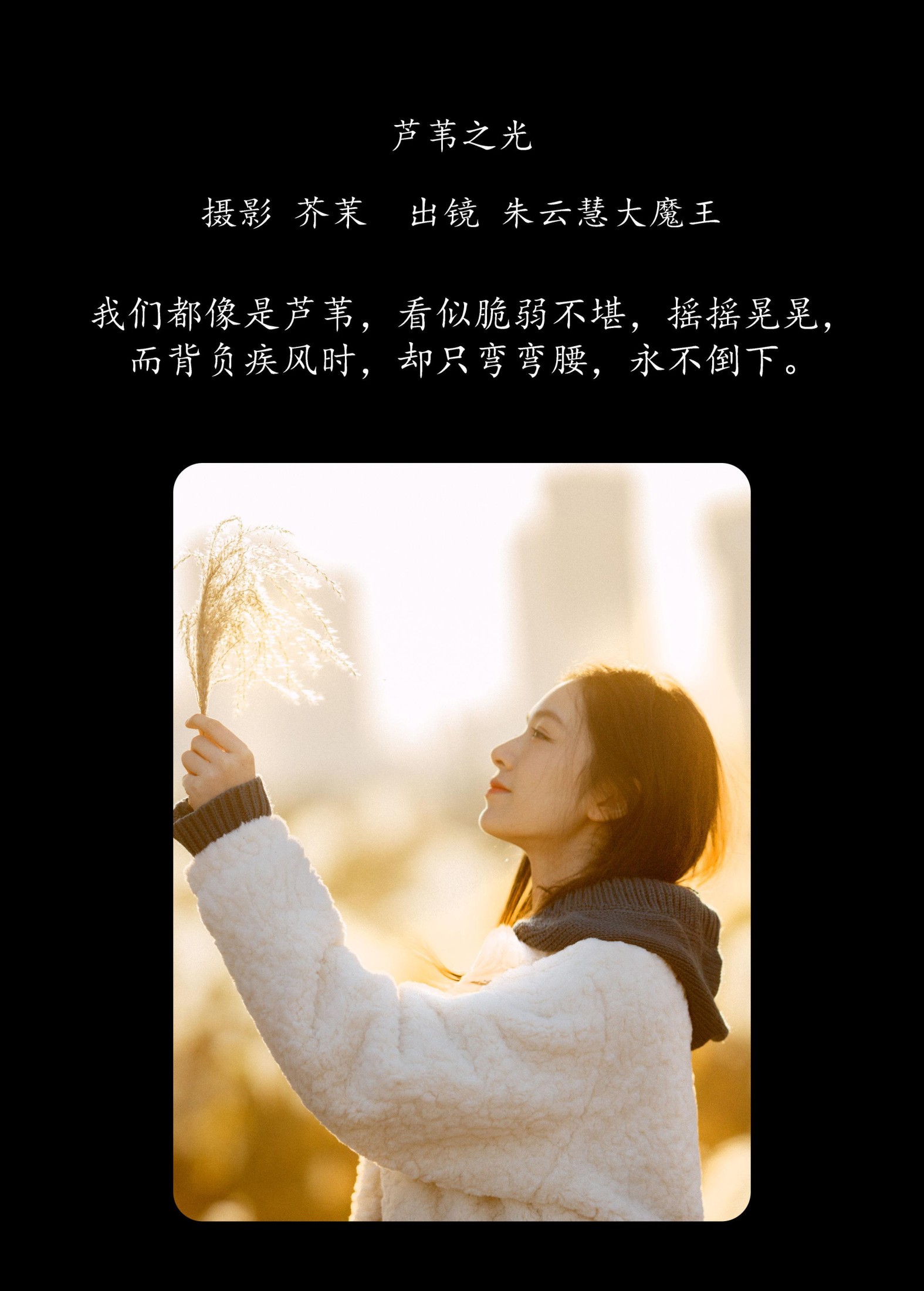 图片[2] - 朱云慧大魔王 - 《芦苇之光》[24P] - 机器猫次元 - 机器猫次元