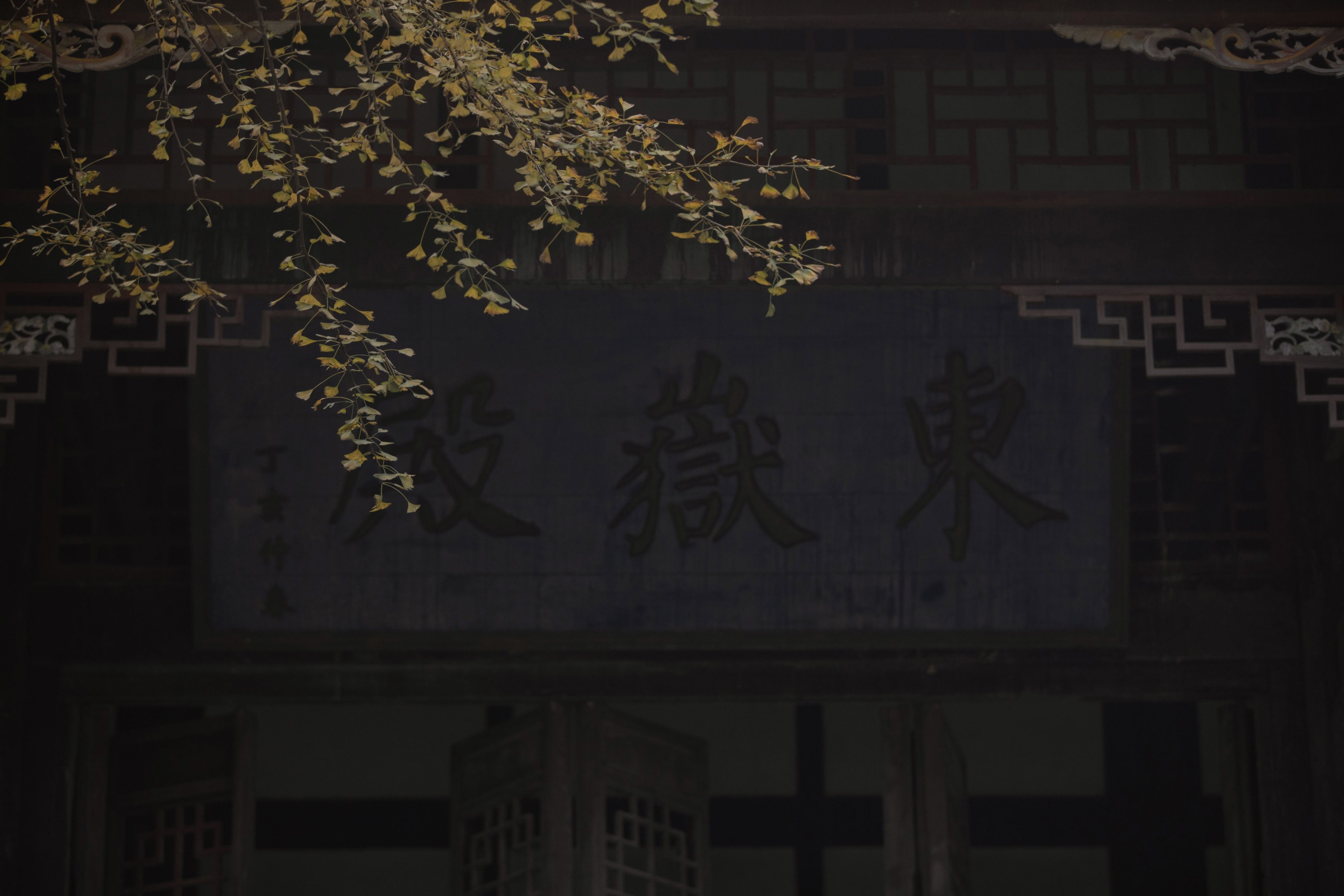 图片[4] - 二鱼阿 - 《念及》[28P] - 机器猫次元 - 机器猫次元