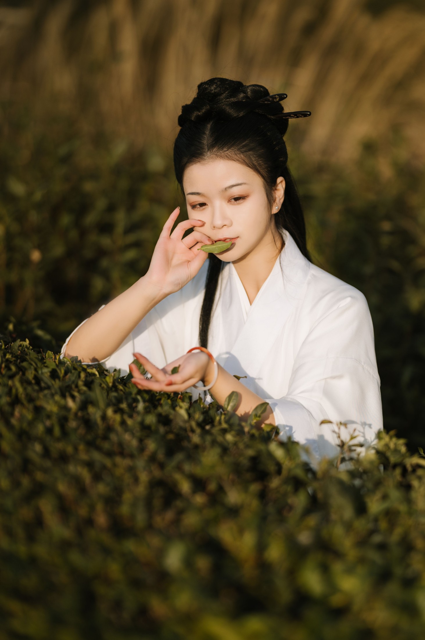 图片[5] - 藏茗茗茗茗 - 《采茶》[31P] - 机器猫次元 - 机器猫次元