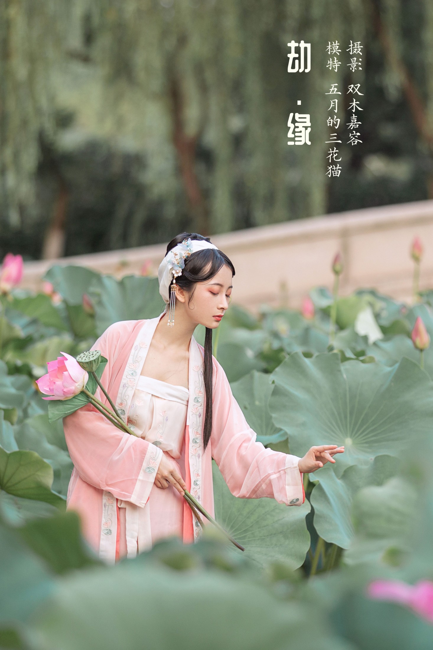 图片[1] - 五月的三花猫 - 《劫 . 缘》[26P] - 机器猫次元 - 机器猫次元