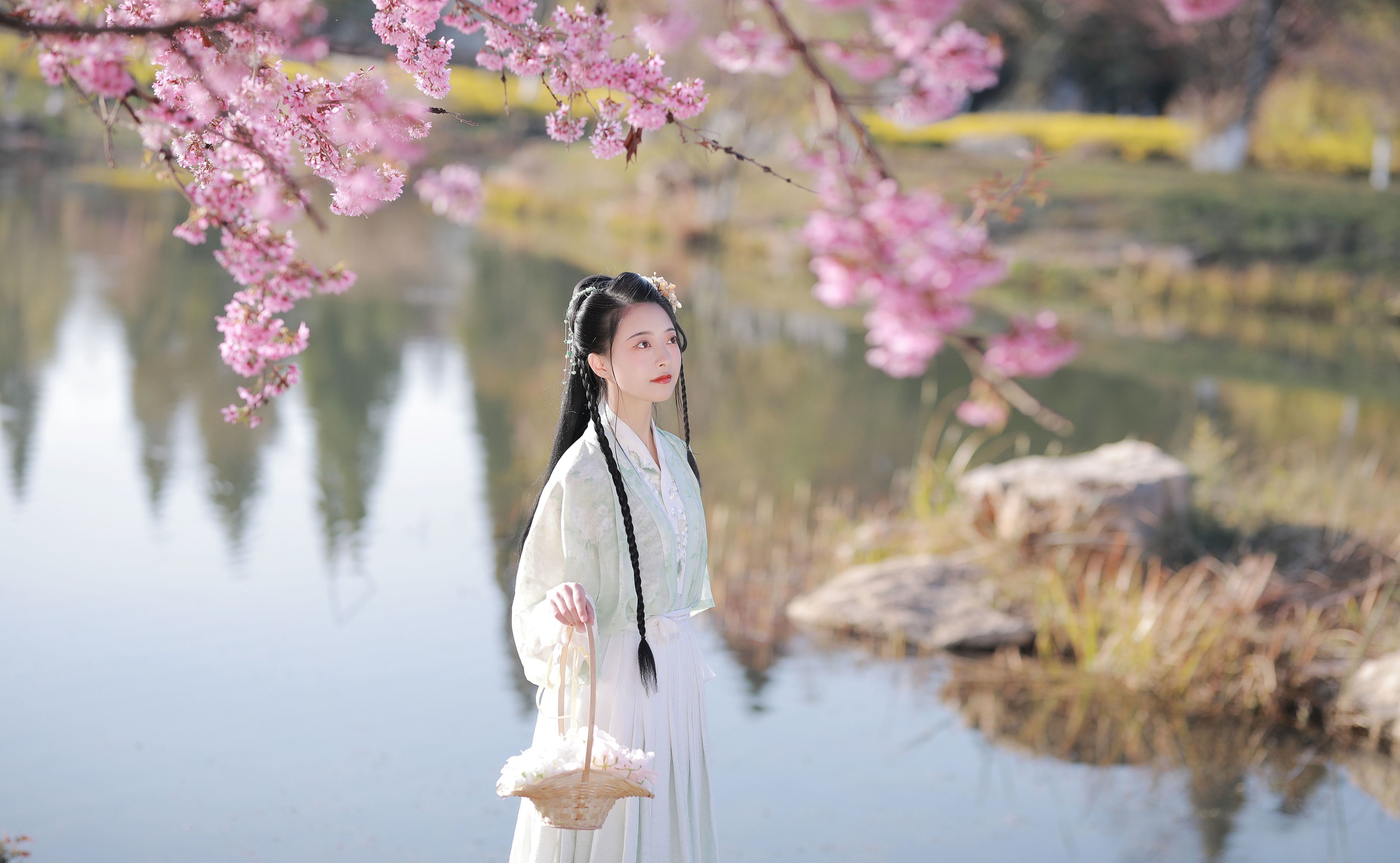图片[6] - 与芳 - 《樱花》[21P] - 机器猫次元 - 机器猫次元