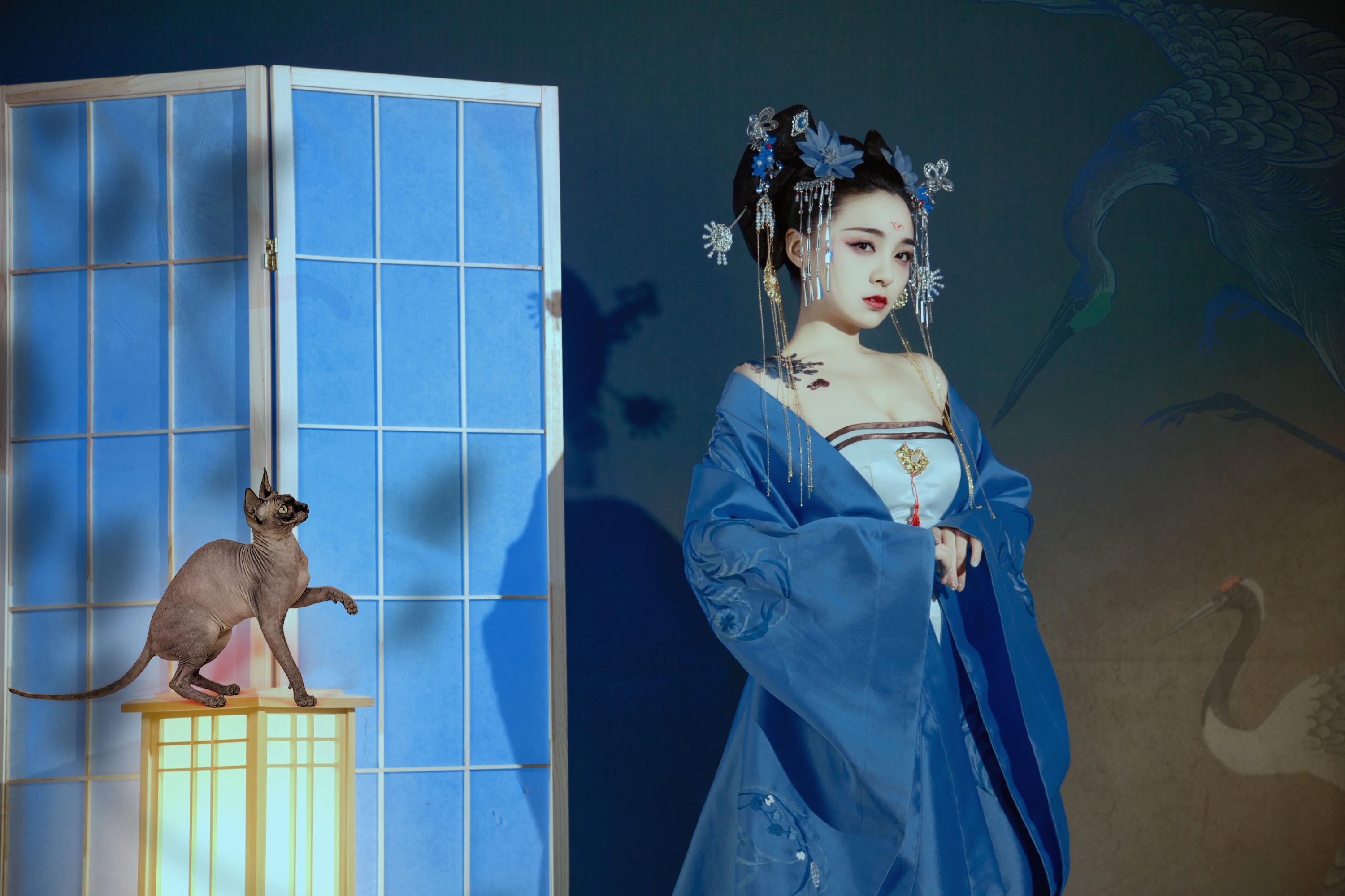 图片[6] - 倩宝 - 《夜笙鹤2》[22P] - 机器猫次元 - 机器猫次元