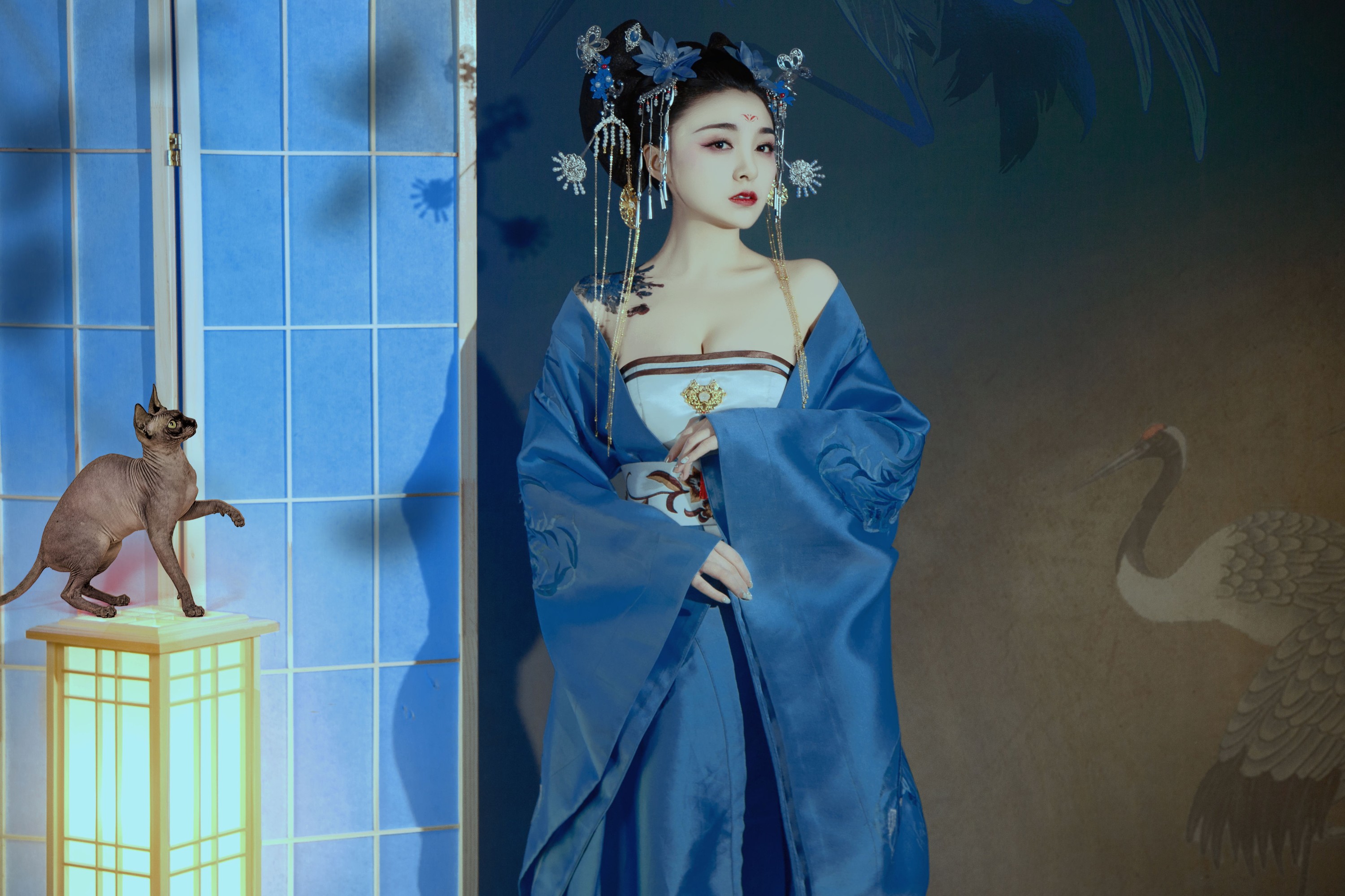 图片[4] - 倩宝 - 《夜笙鹤2》[22P] - 机器猫次元 - 机器猫次元