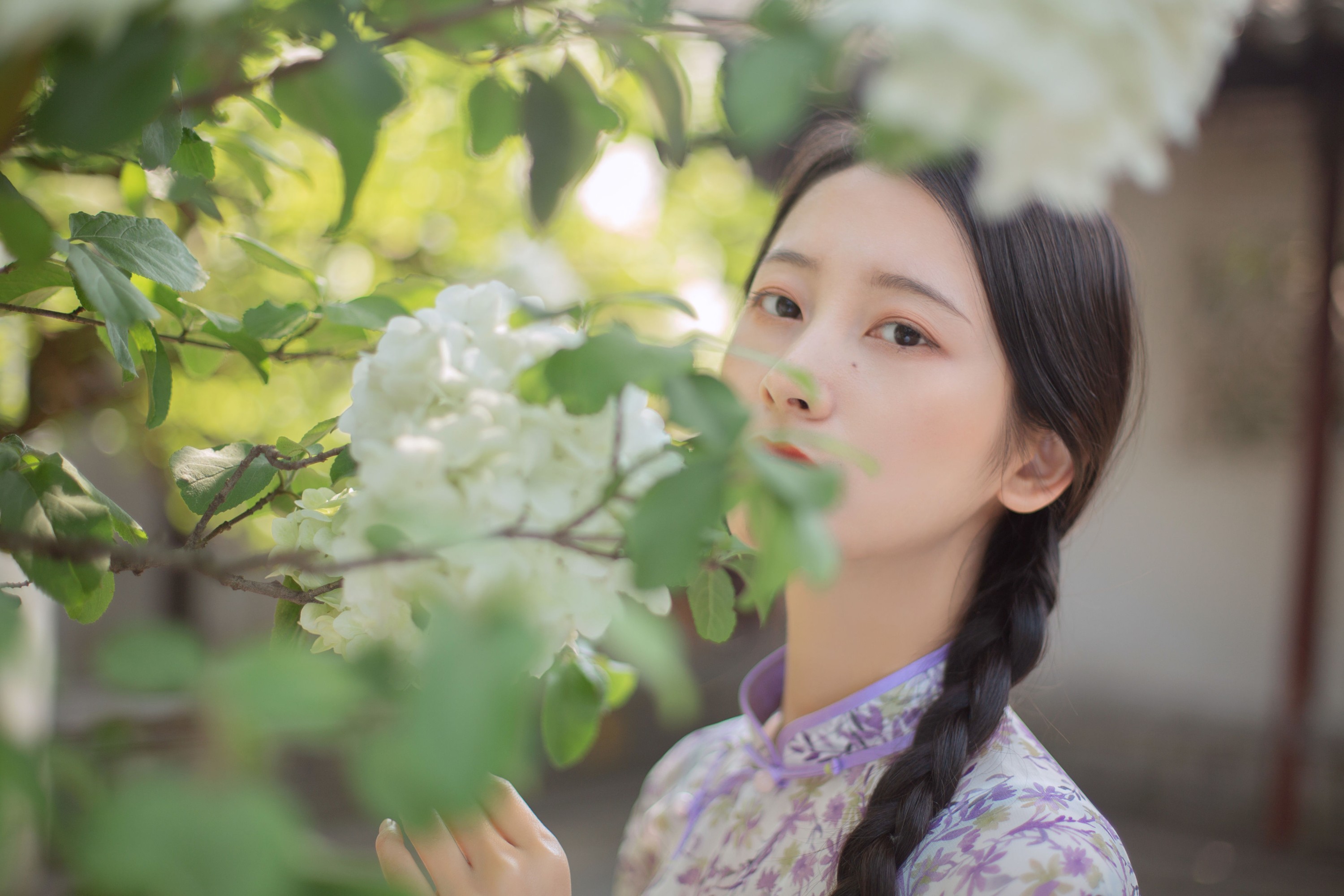 图片[3] - 五月的三花猫 - 《穆穆清风至》[29P] - 机器猫次元 - 机器猫次元