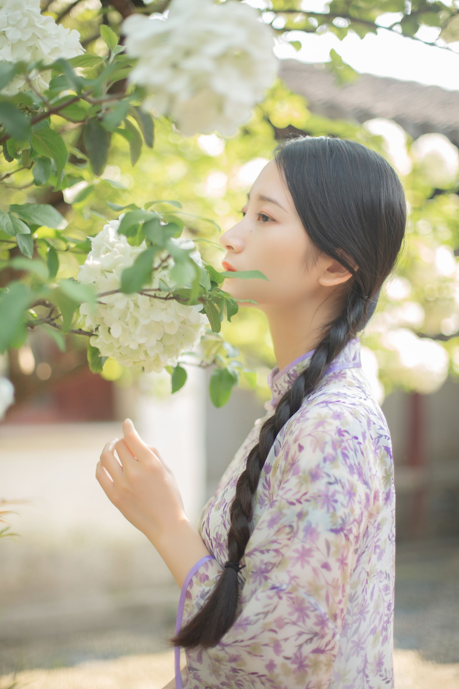 图片[6] - 五月的三花猫 - 《穆穆清风至》[29P] - 机器猫次元 - 机器猫次元