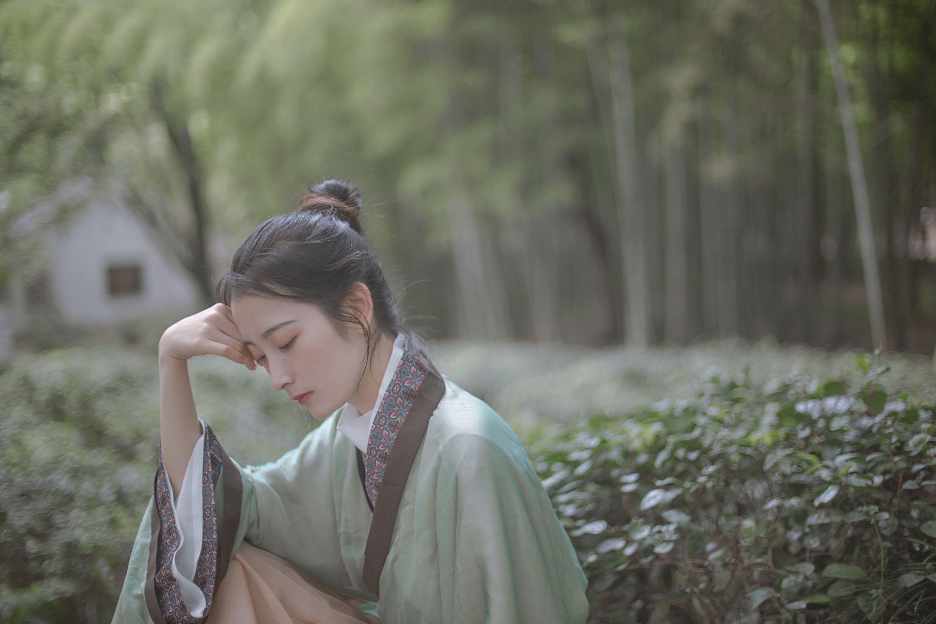 图片[8] - 五月的三花猫 - 《赠隐者》[23P] - 机器猫次元 - 机器猫次元