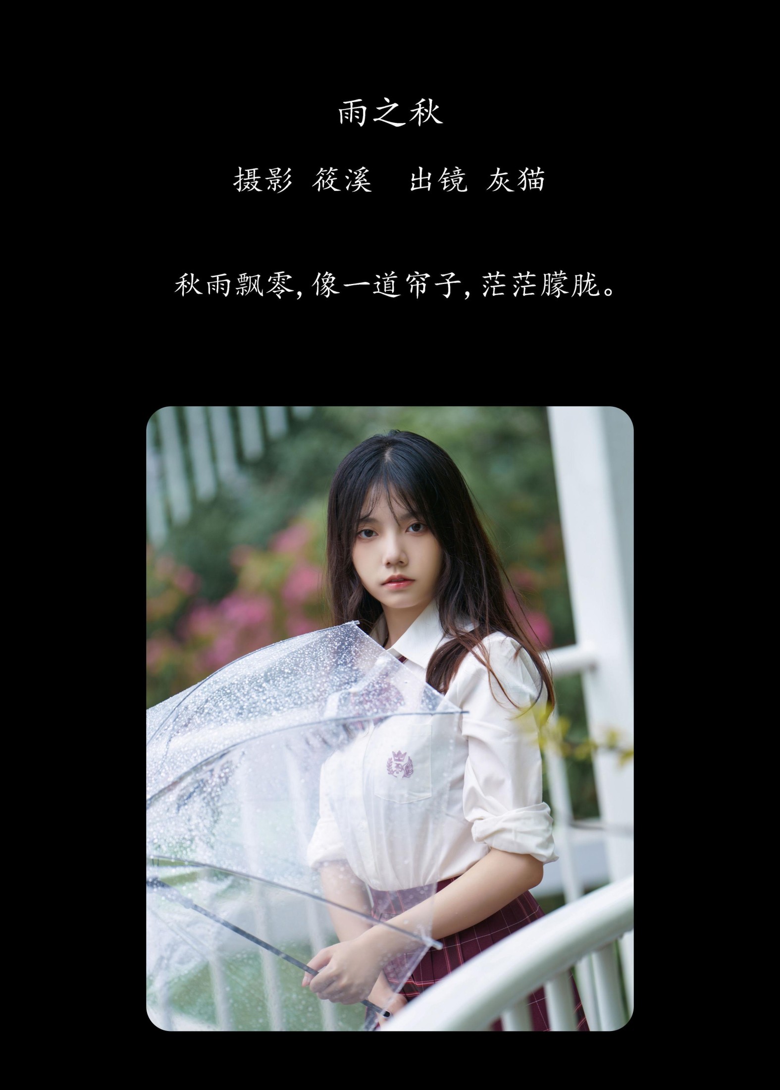 图片[2] - 灰猫 - 《雨之秋》[28P] - 机器猫次元 - 机器猫次元
