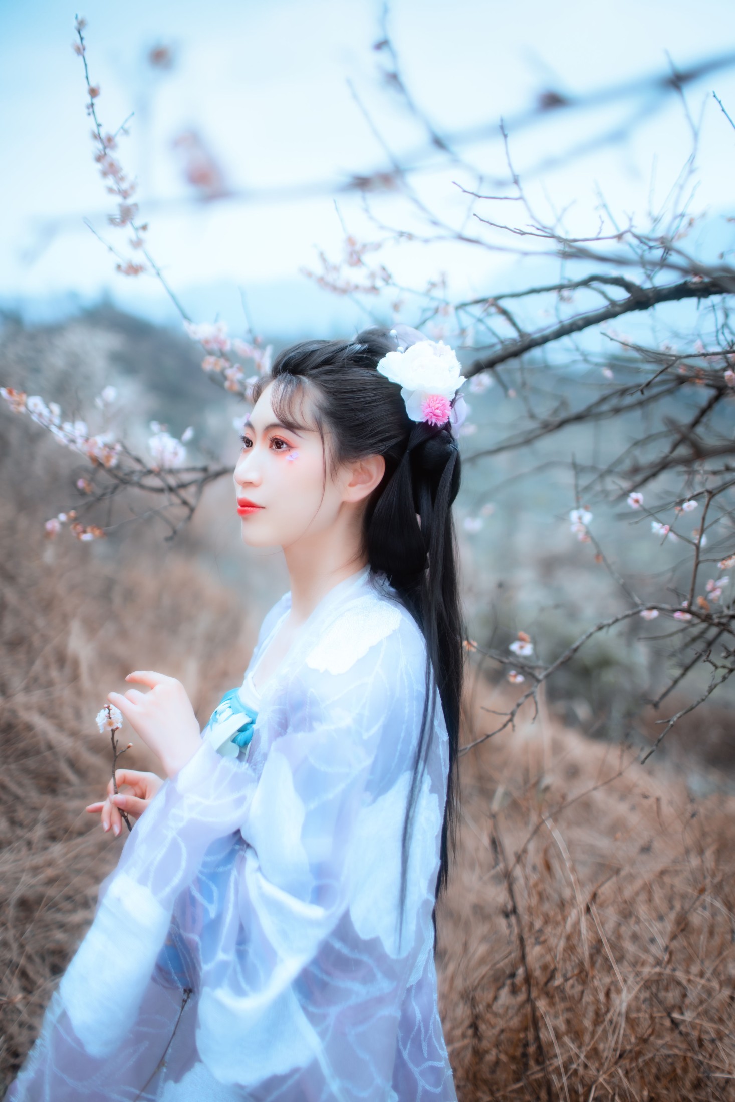 图片[6] - 初茶 - 《问梅子》[37P] - 机器猫次元 - 机器猫次元