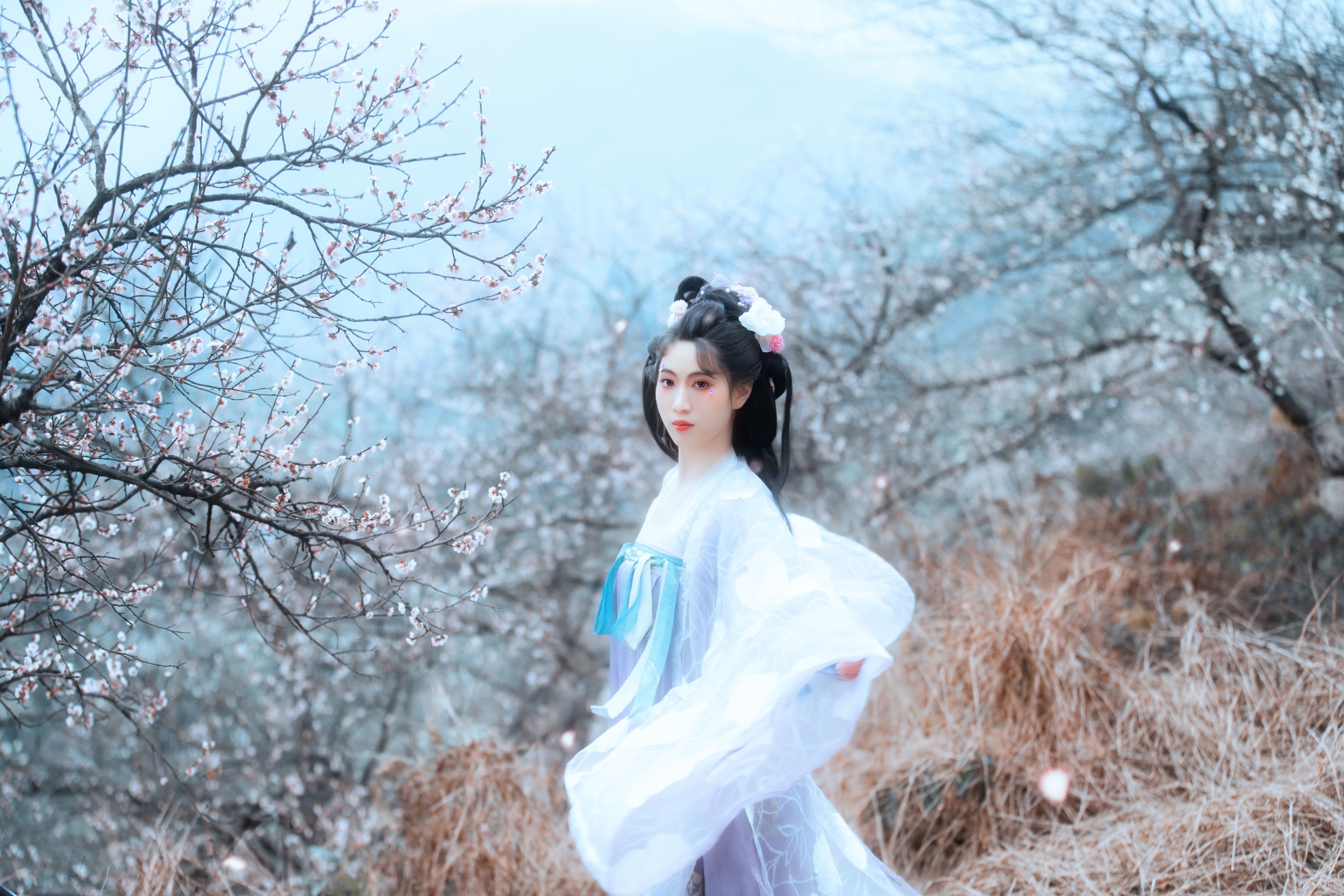 图片[8] - 初茶 - 《问梅子》[37P] - 机器猫次元 - 机器猫次元