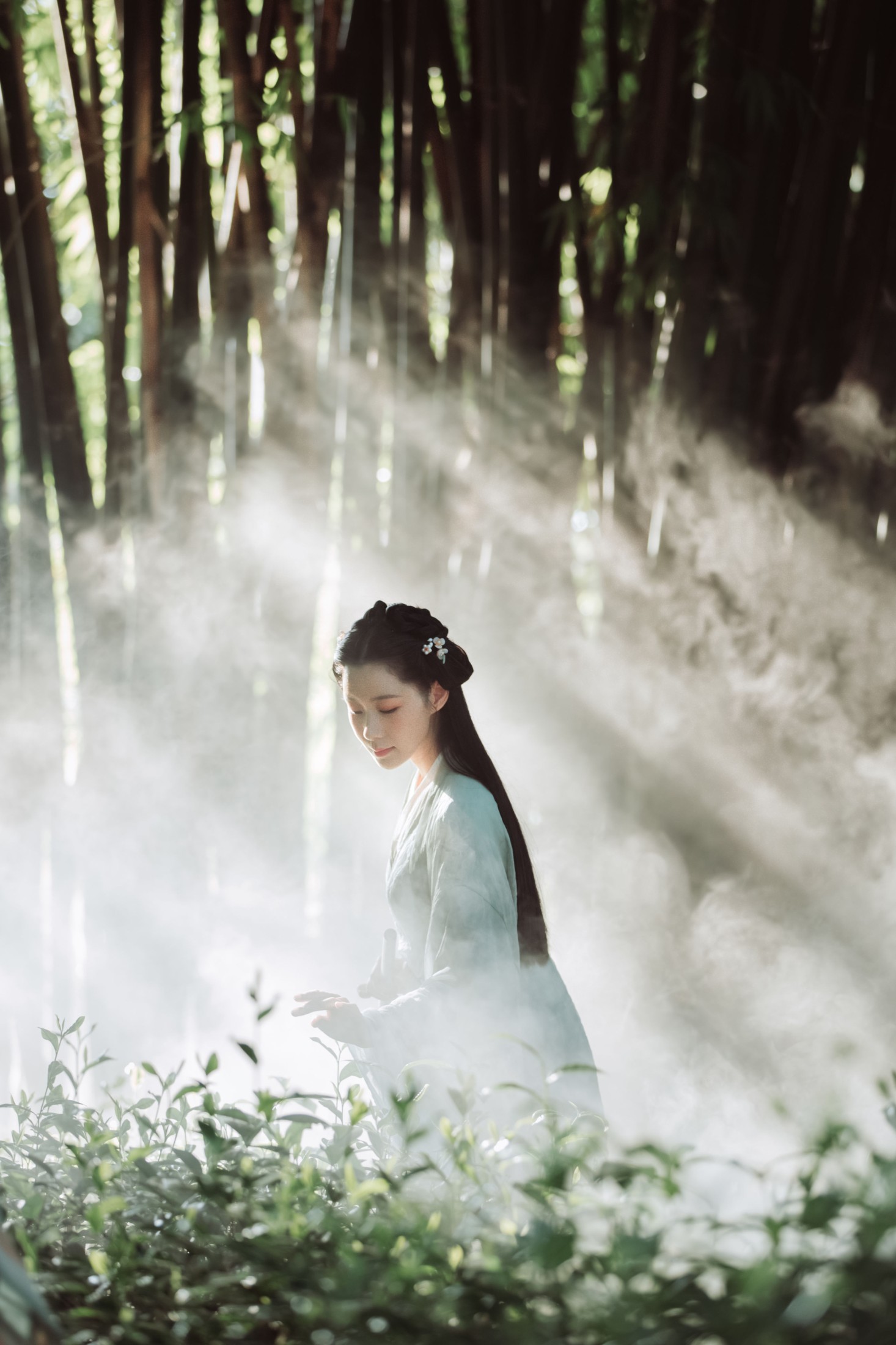 图片[3] - 木哥 - 《茶园》[33P] - 机器猫次元 - 机器猫次元