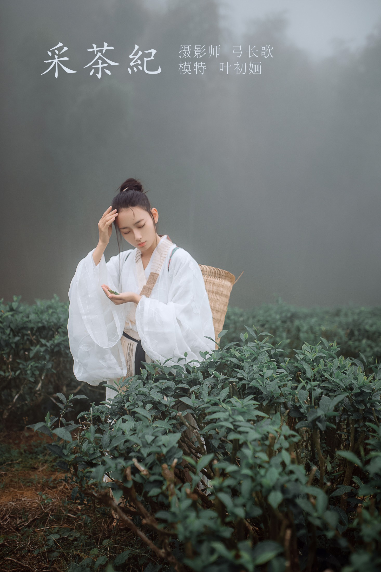 图片[1] - 叶初婳 - 《采茶纪》[23P] - 机器猫次元 - 机器猫次元