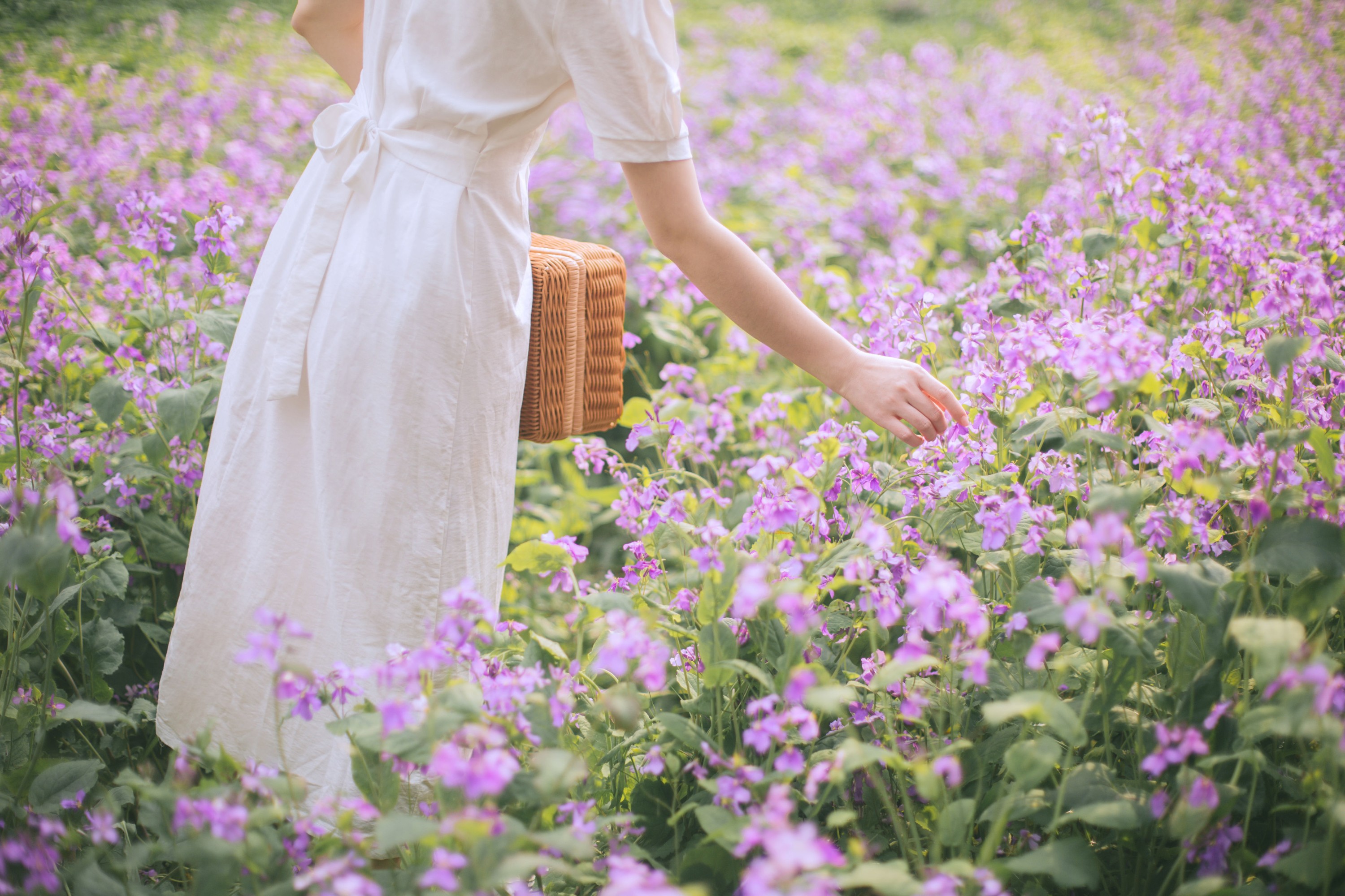 图片[4] - 我是金儿呀 - 《One day in spring》[33P] - 机器猫次元 - 机器猫次元