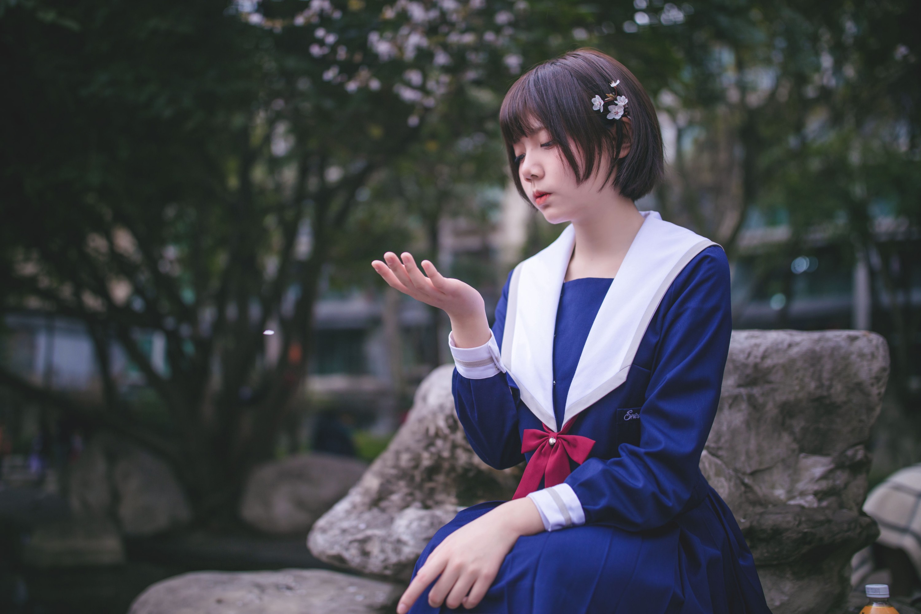 图片[8] - 灰猫 - 《樱花树下》[20P] - 机器猫次元 - 机器猫次元
