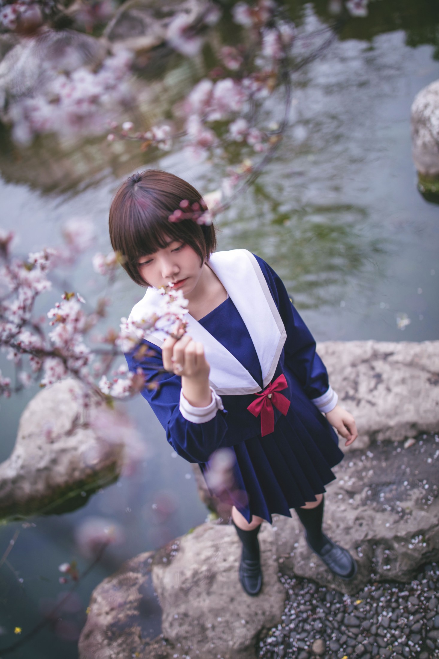图片[5] - 灰猫 - 《樱花树下》[20P] - 机器猫次元 - 机器猫次元