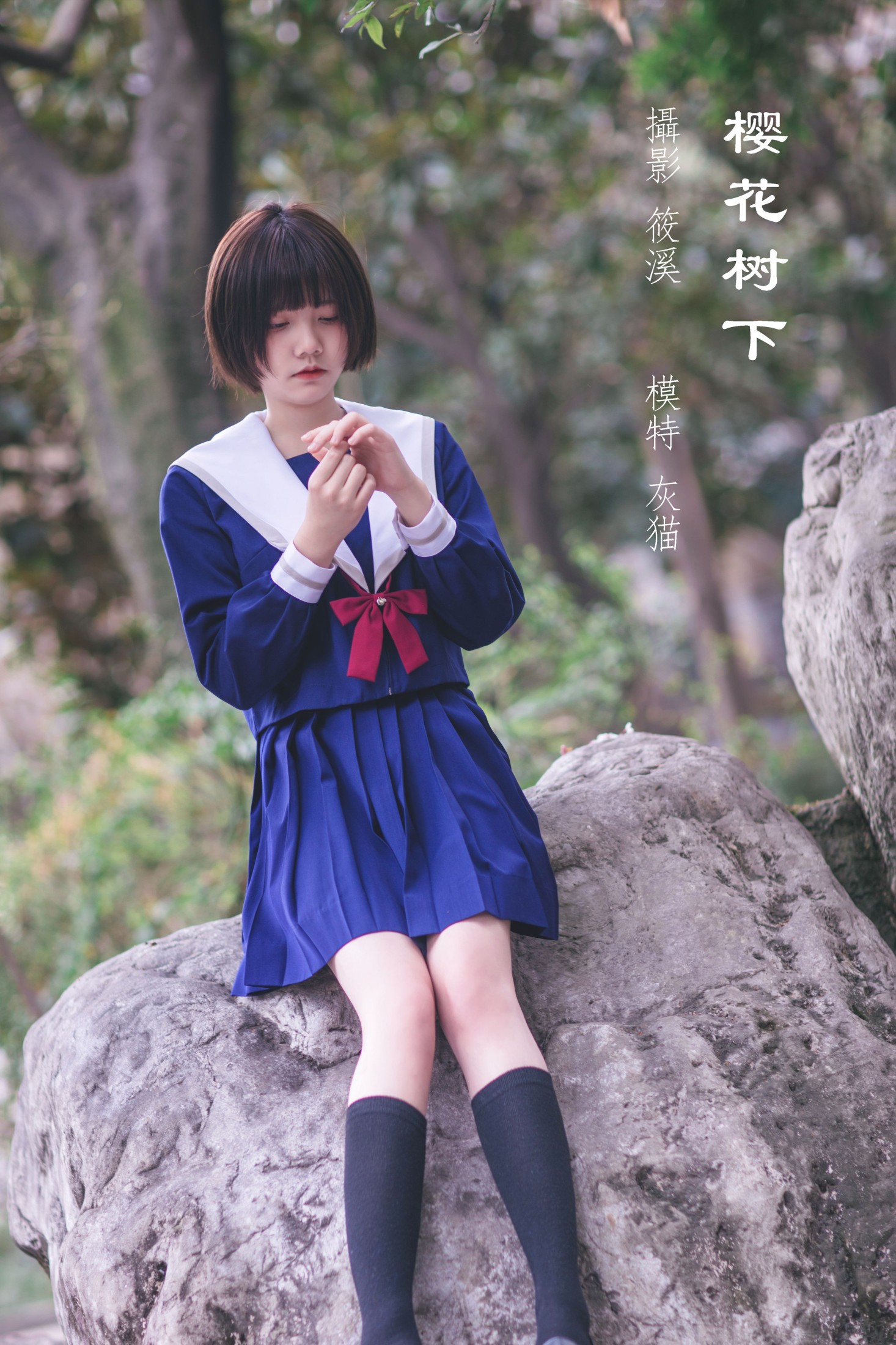图片[1] - 灰猫 - 《樱花树下》[20P] - 机器猫次元 - 机器猫次元