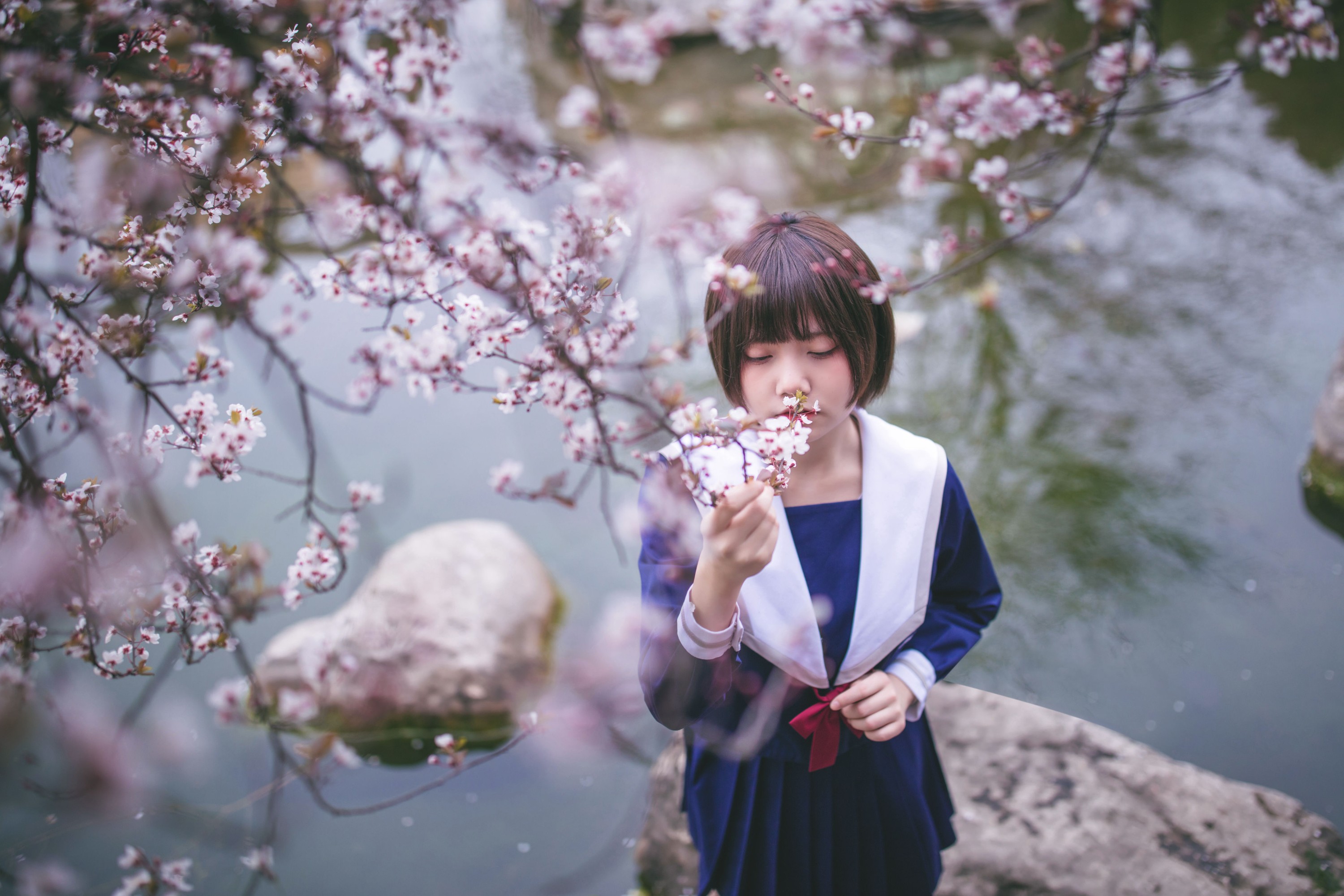 图片[3] - 灰猫 - 《樱花树下》[20P] - 机器猫次元 - 机器猫次元
