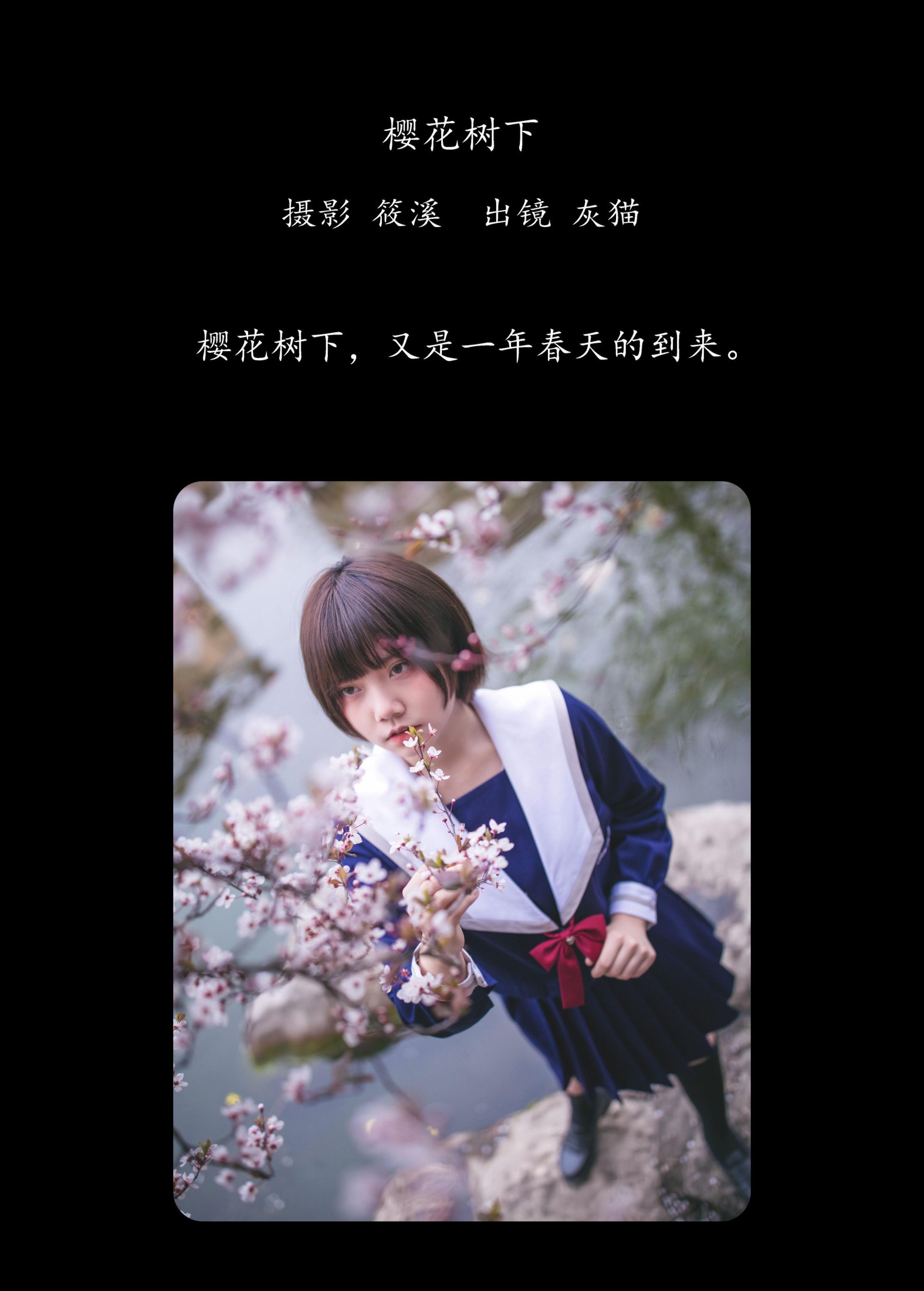 图片[2] - 灰猫 - 《樱花树下》[20P] - 机器猫次元 - 机器猫次元