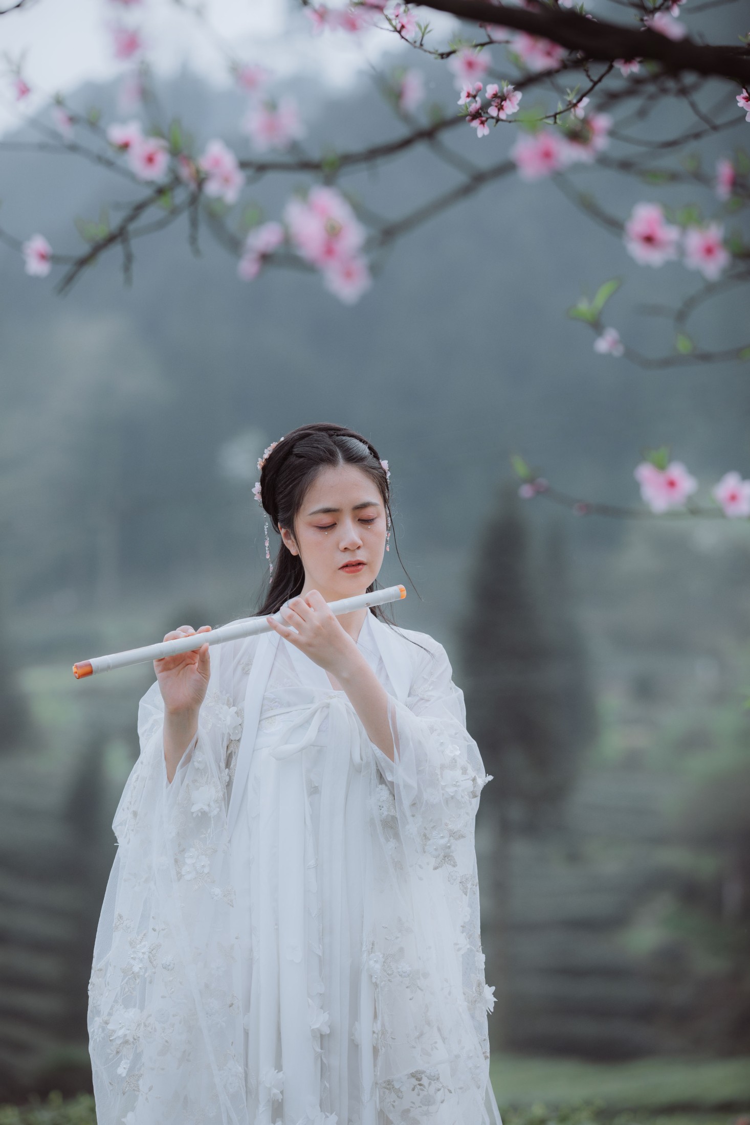 图片[3] - 瞳人儿 - 《清平乐》[25P] - 机器猫次元 - 机器猫次元