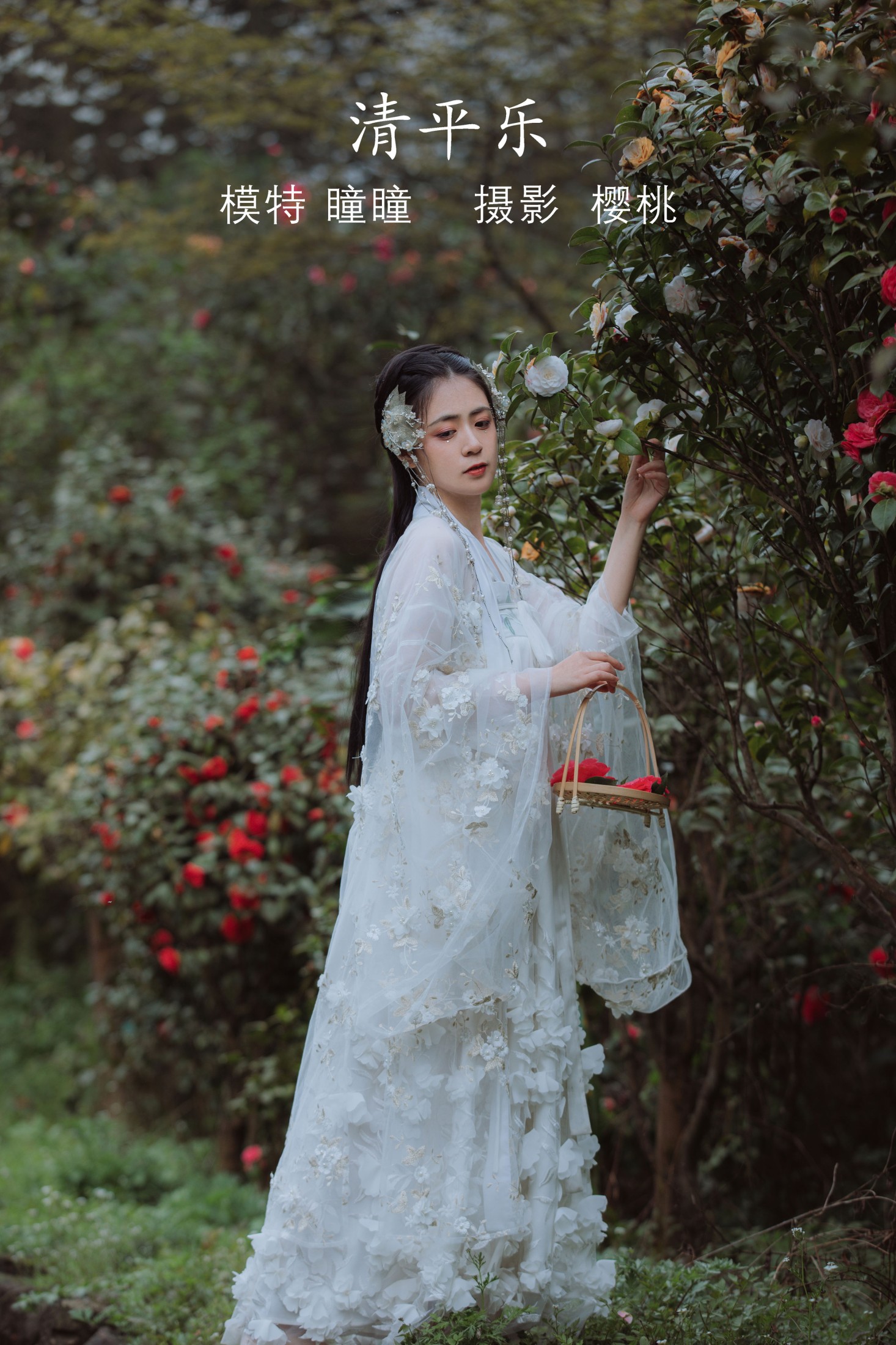 图片[1] - 瞳人儿 - 《清平乐》[25P] - 机器猫次元 - 机器猫次元