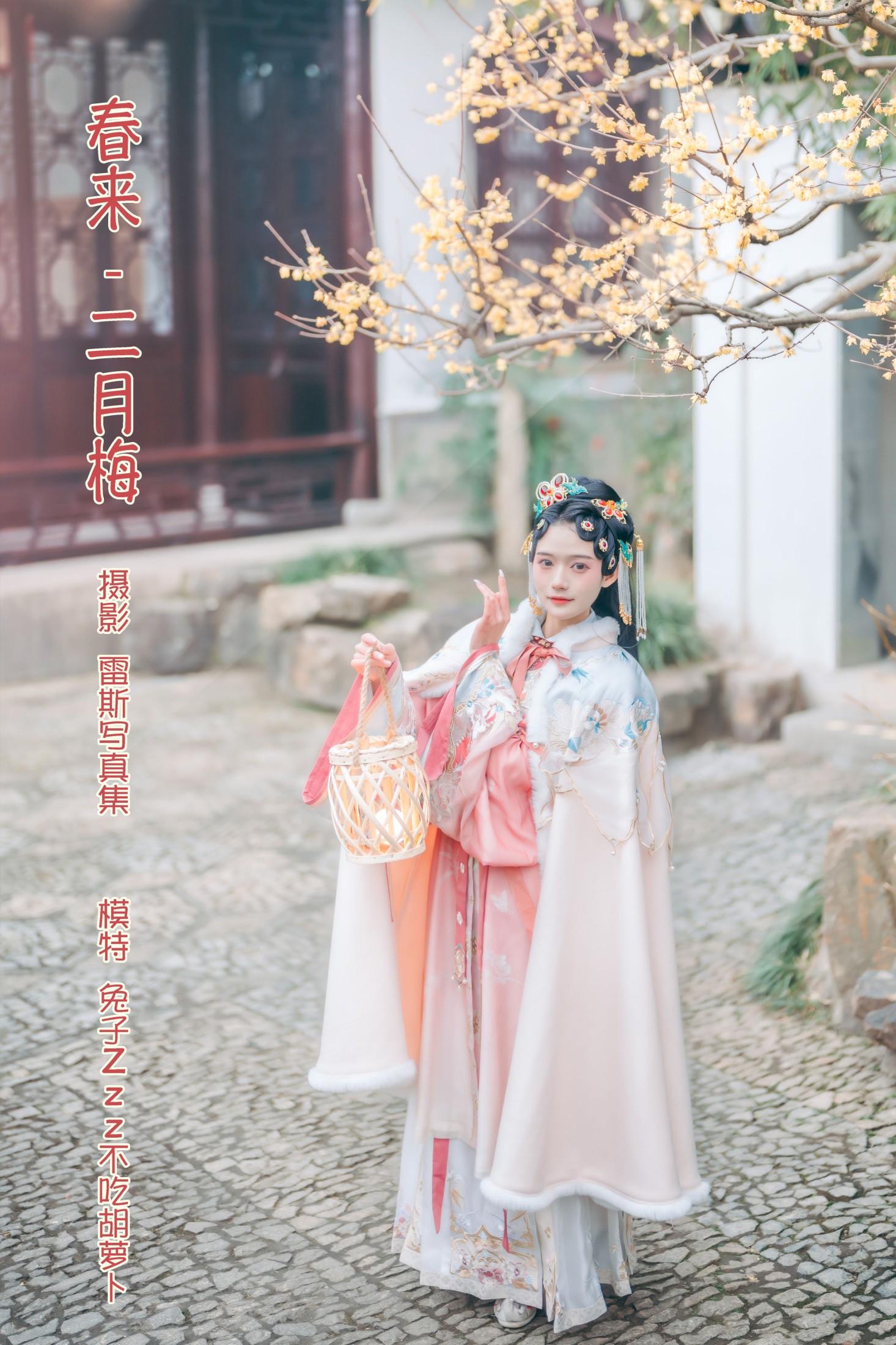 图片[1] - 兔子Zzz不吃胡萝卜 - 《春来 · 二月梅》[23P] - 机器猫次元 - 机器猫次元