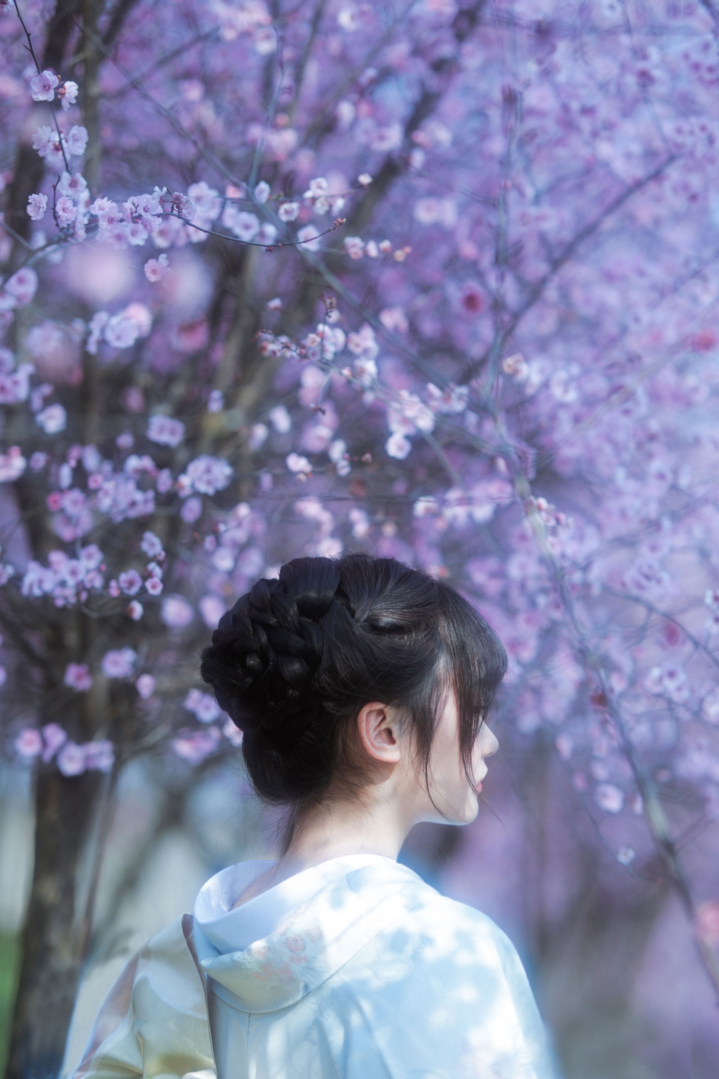 图片[5] - 小若 - 《梦中之花》[28P] - 机器猫次元 - 机器猫次元