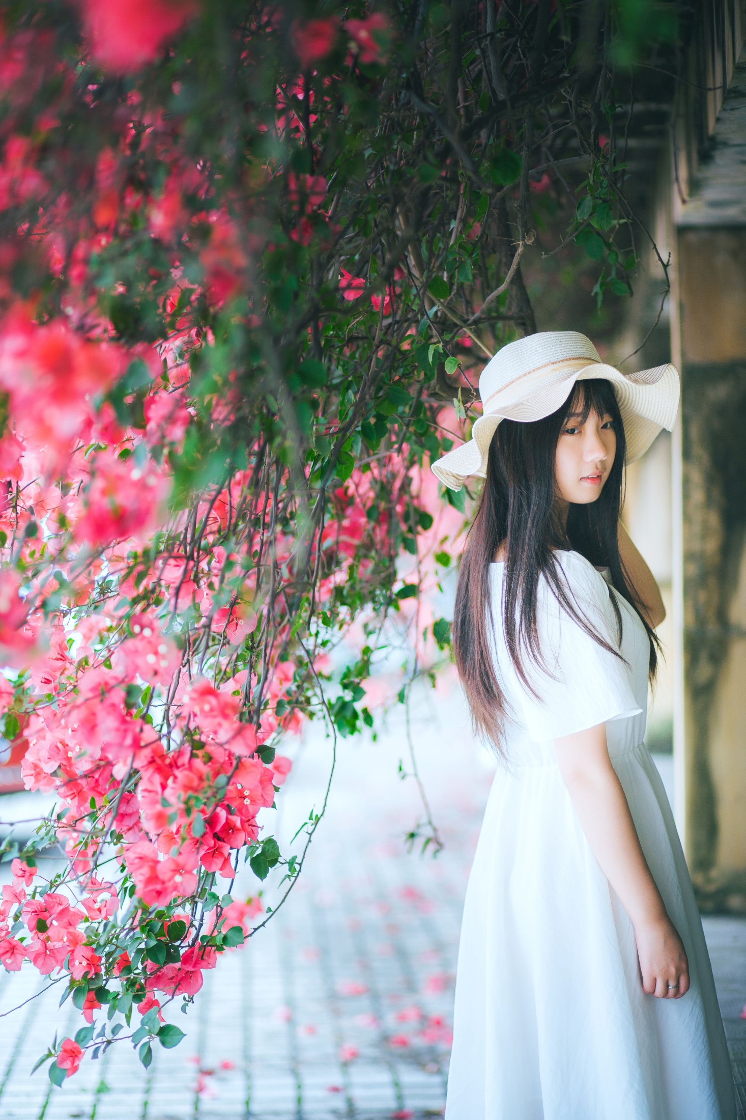 图片[8] - 紫卿 - 《花和那姑娘》[23P] - 机器猫次元 - 机器猫次元