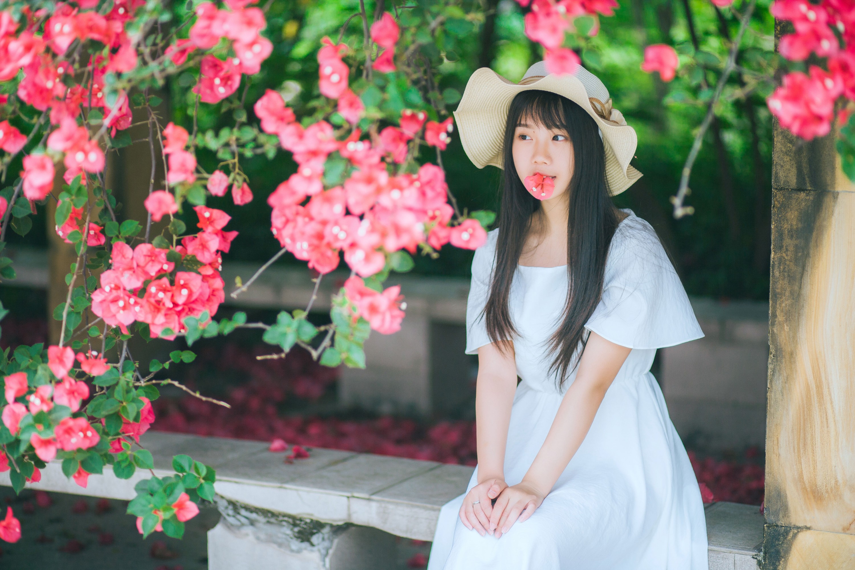 图片[4] - 紫卿 - 《花和那姑娘》[23P] - 机器猫次元 - 机器猫次元