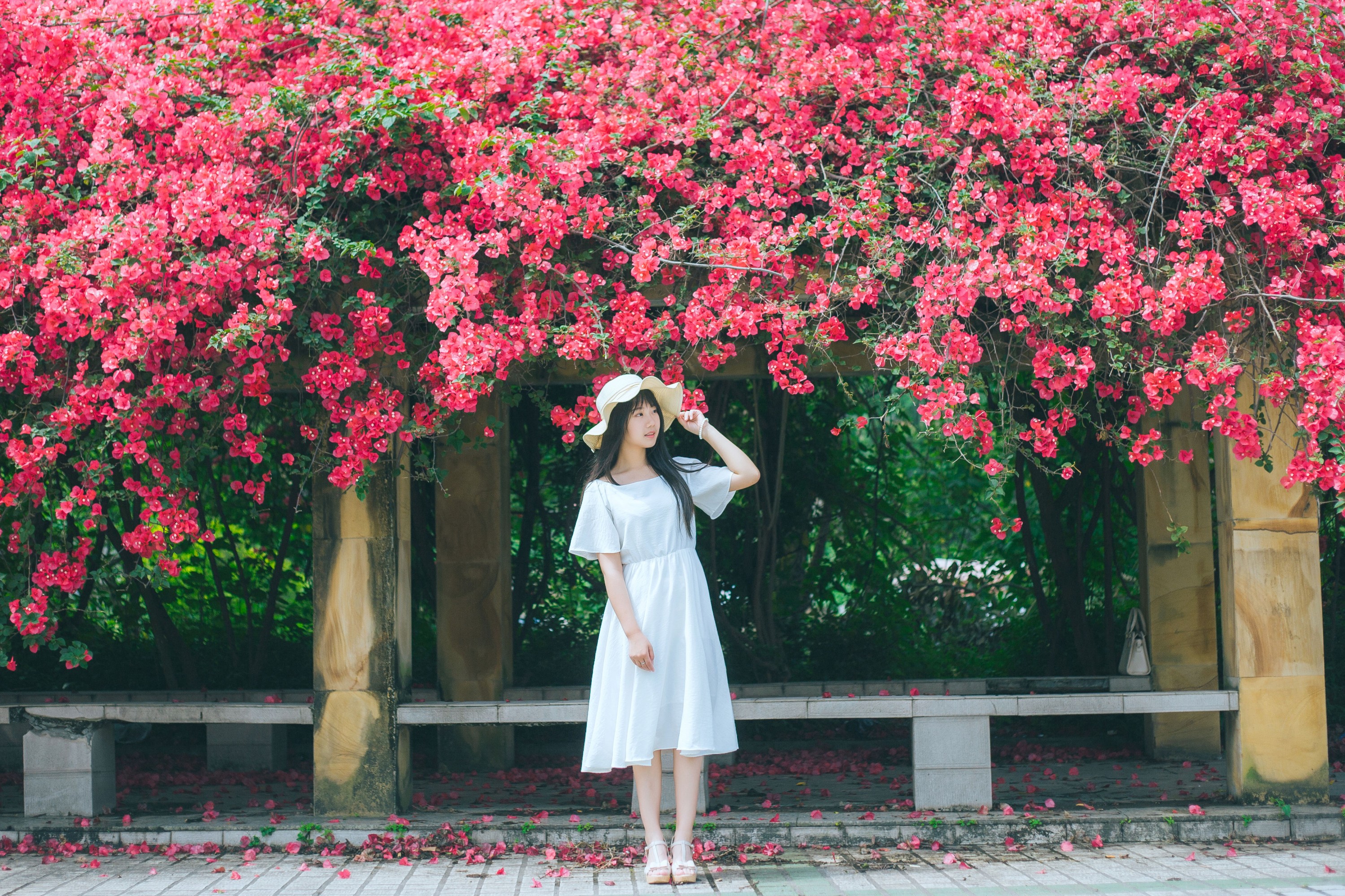 图片[3] - 紫卿 - 《花和那姑娘》[23P] - 机器猫次元 - 机器猫次元