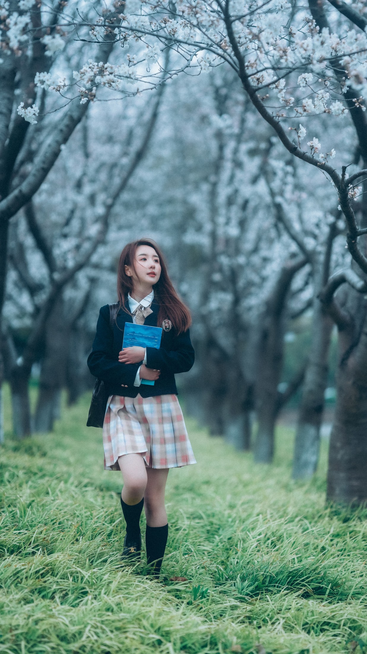 图片[4] - 富贵 - 《少女与樱》[43P] - 机器猫次元 - 机器猫次元