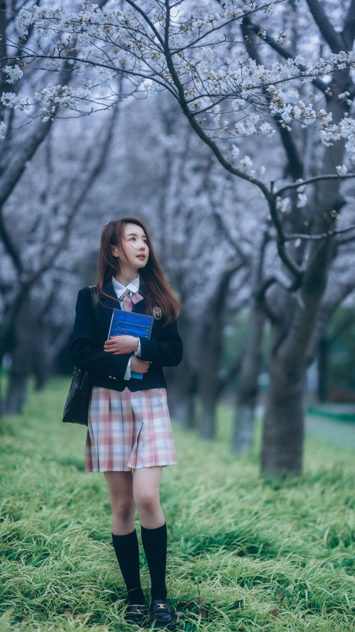 图片[5] - 富贵 - 《少女与樱》[43P] - 机器猫次元 - 机器猫次元
