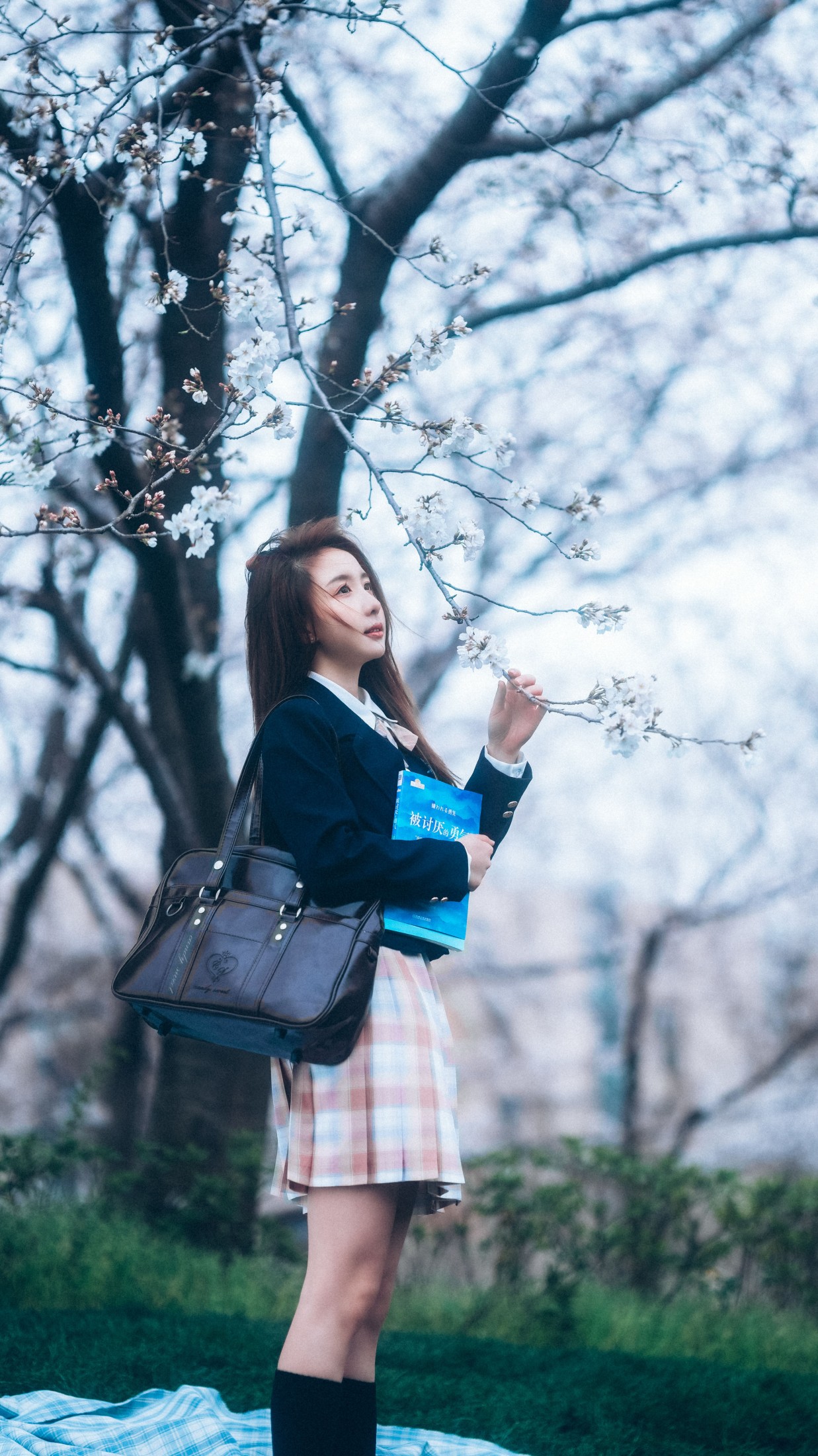 图片[7] - 富贵 - 《少女与樱》[43P] - 机器猫次元 - 机器猫次元