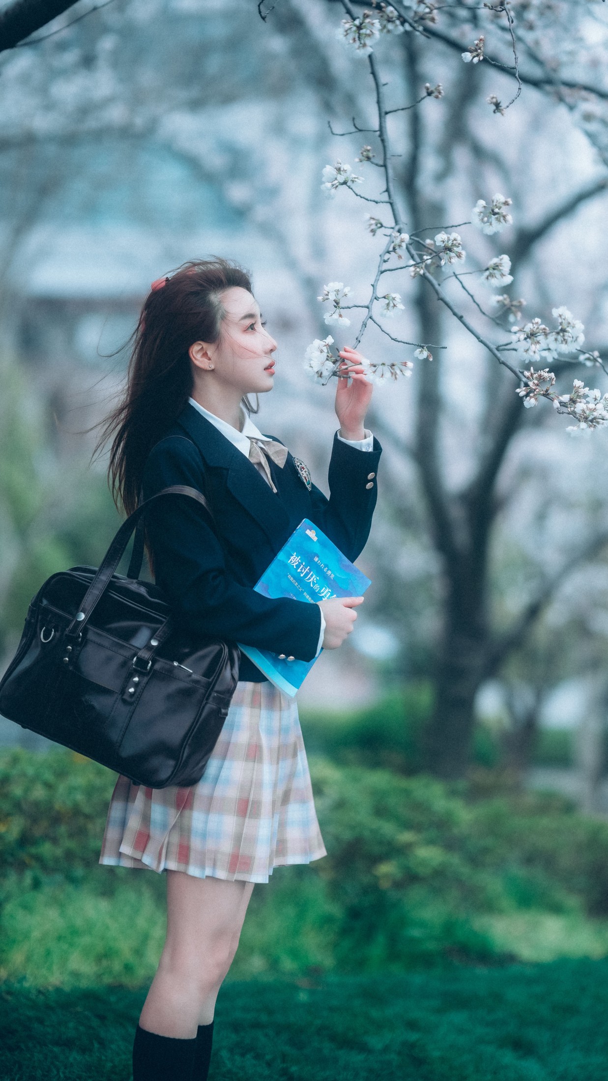 图片[6] - 富贵 - 《少女与樱》[43P] - 机器猫次元 - 机器猫次元