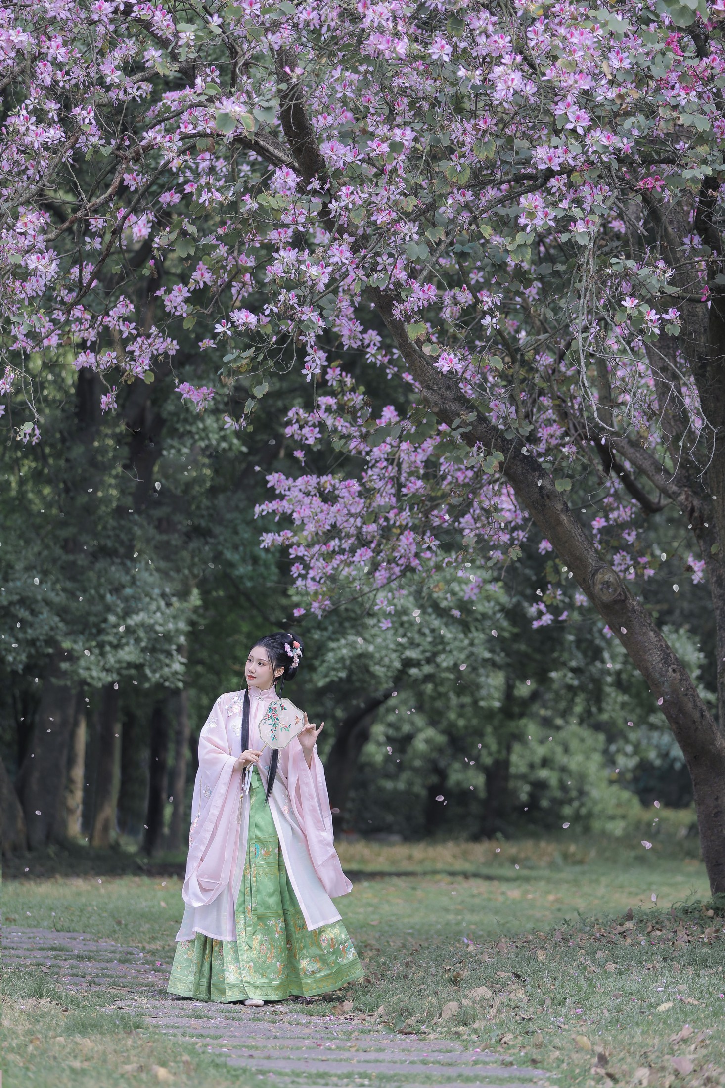 图片[3] - 木木 - 《紫荆枝》[23P] - 机器猫次元 - 机器猫次元