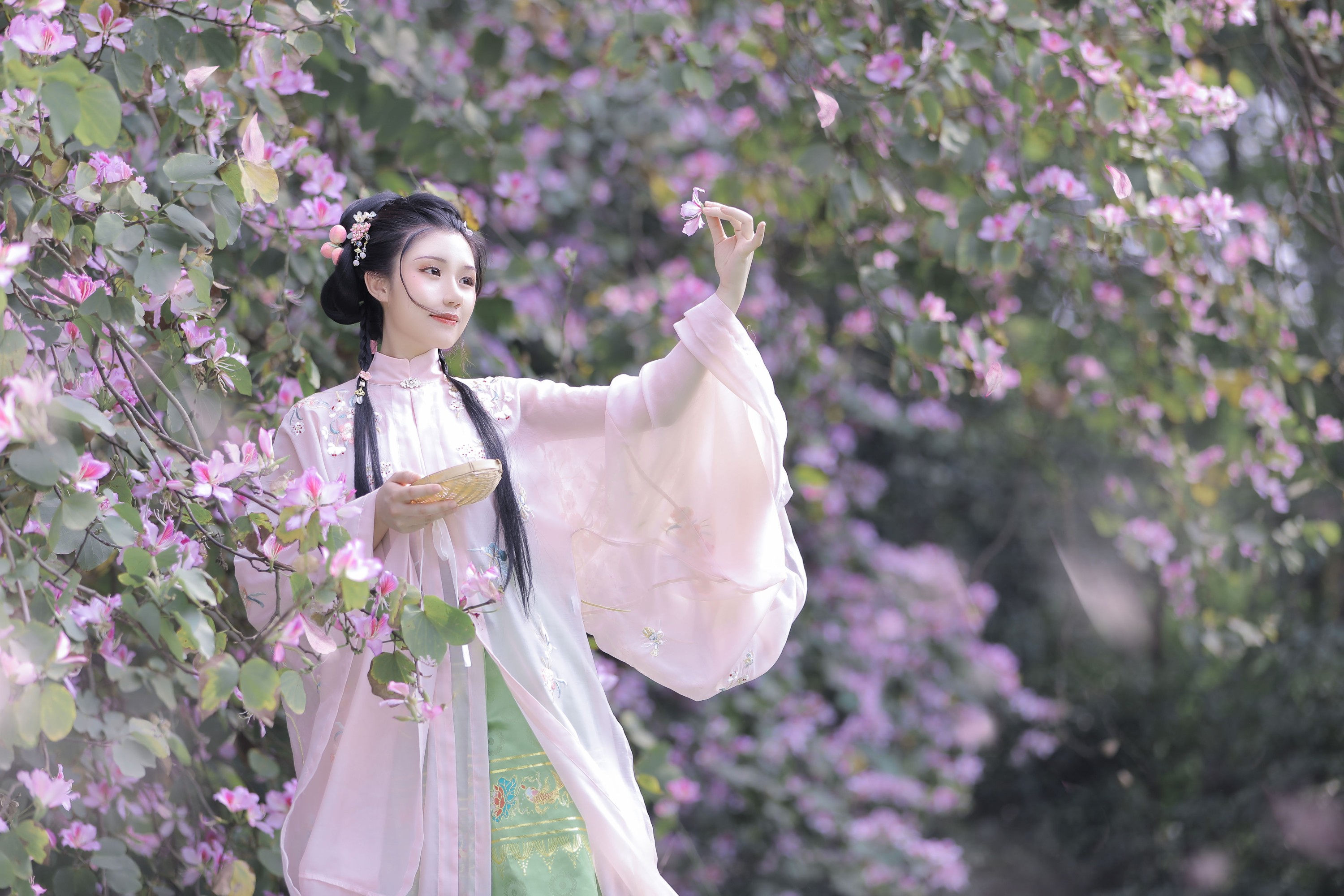 图片[7] - 木木 - 《紫荆枝》[23P] - 机器猫次元 - 机器猫次元