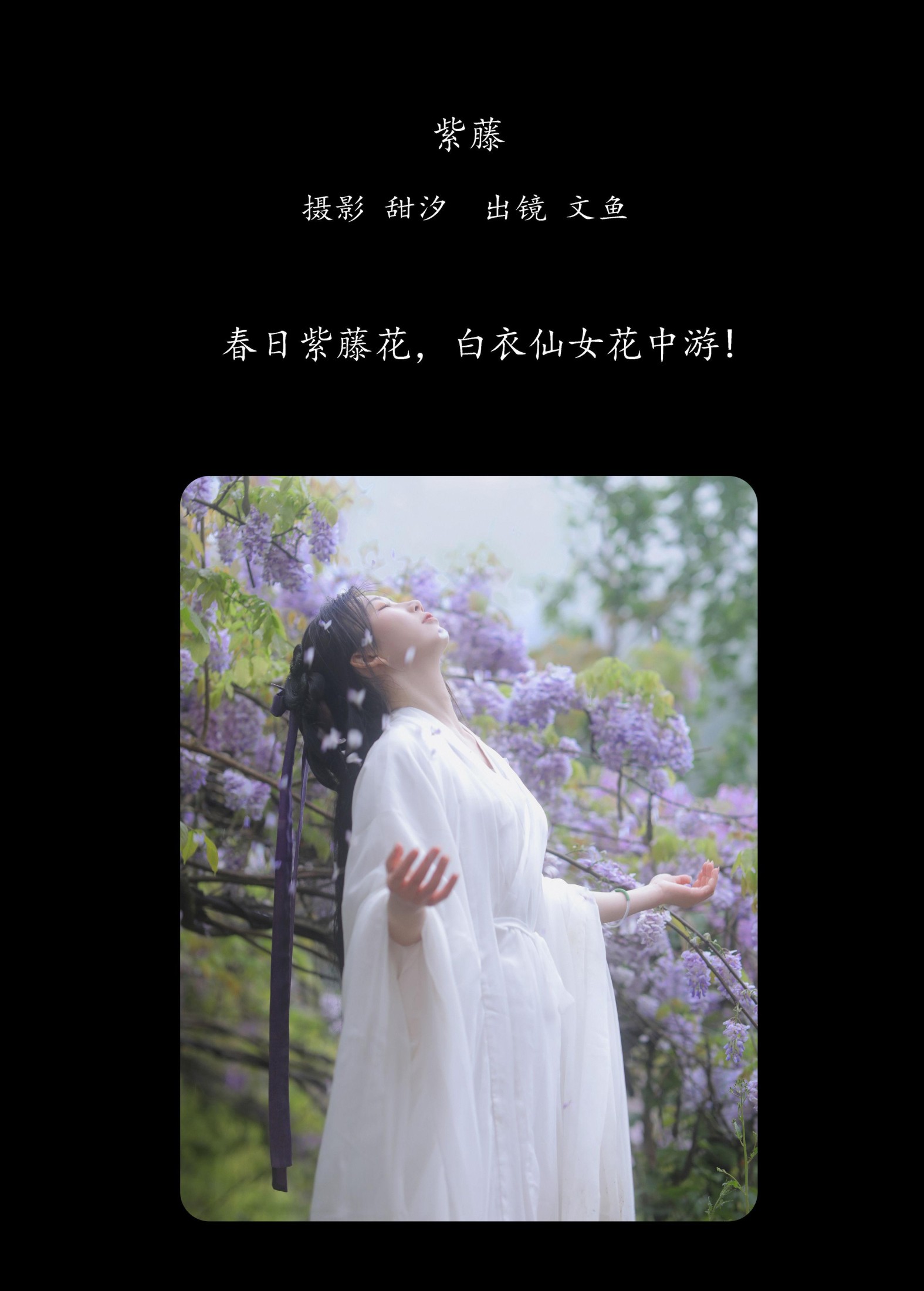 图片[2] - 文鱼 - 《紫藤》[25P] - 机器猫次元 - 机器猫次元