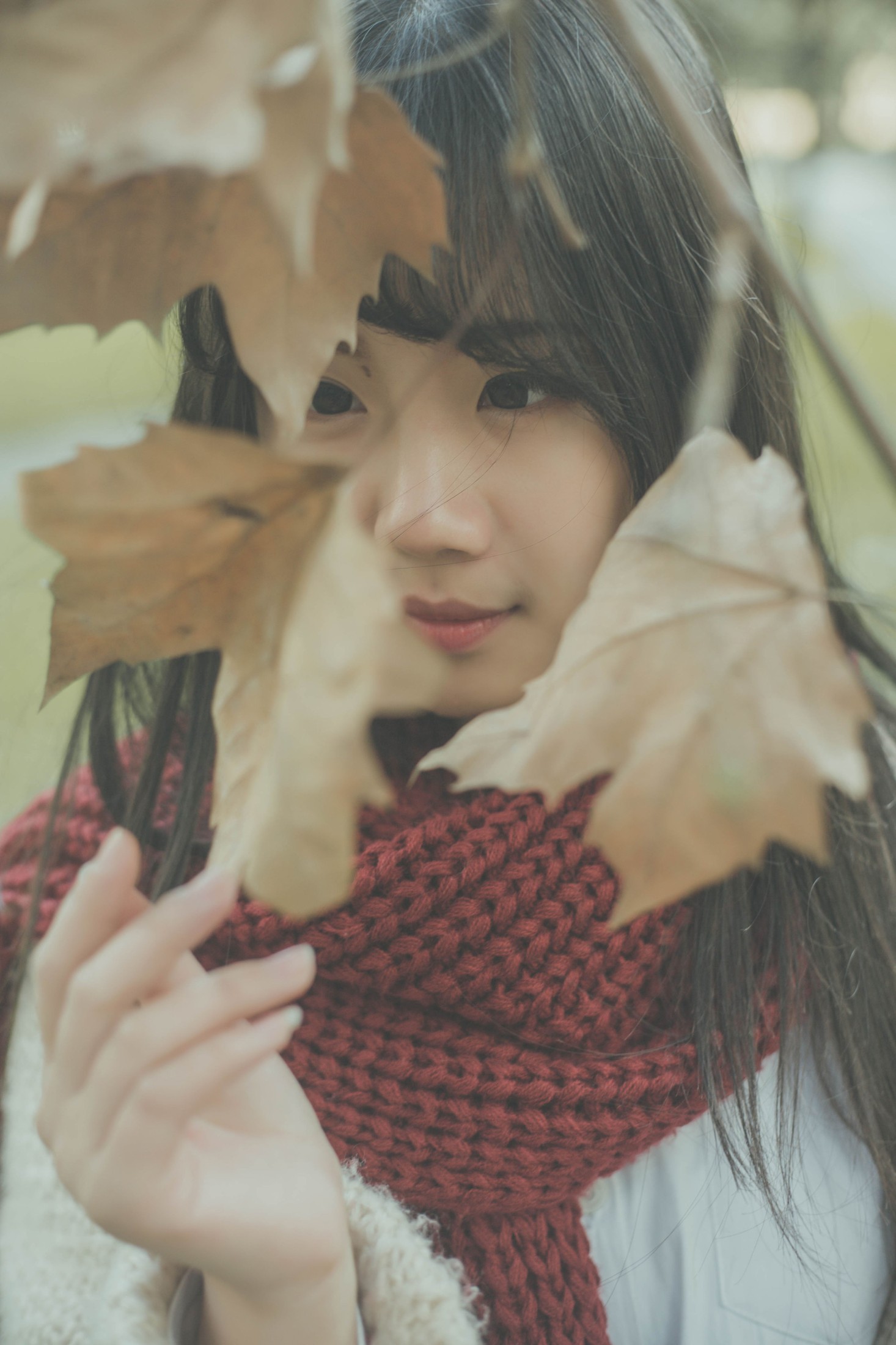 图片[4] - 紫卿 - 《南国的冬》[26P] - 机器猫次元 - 机器猫次元