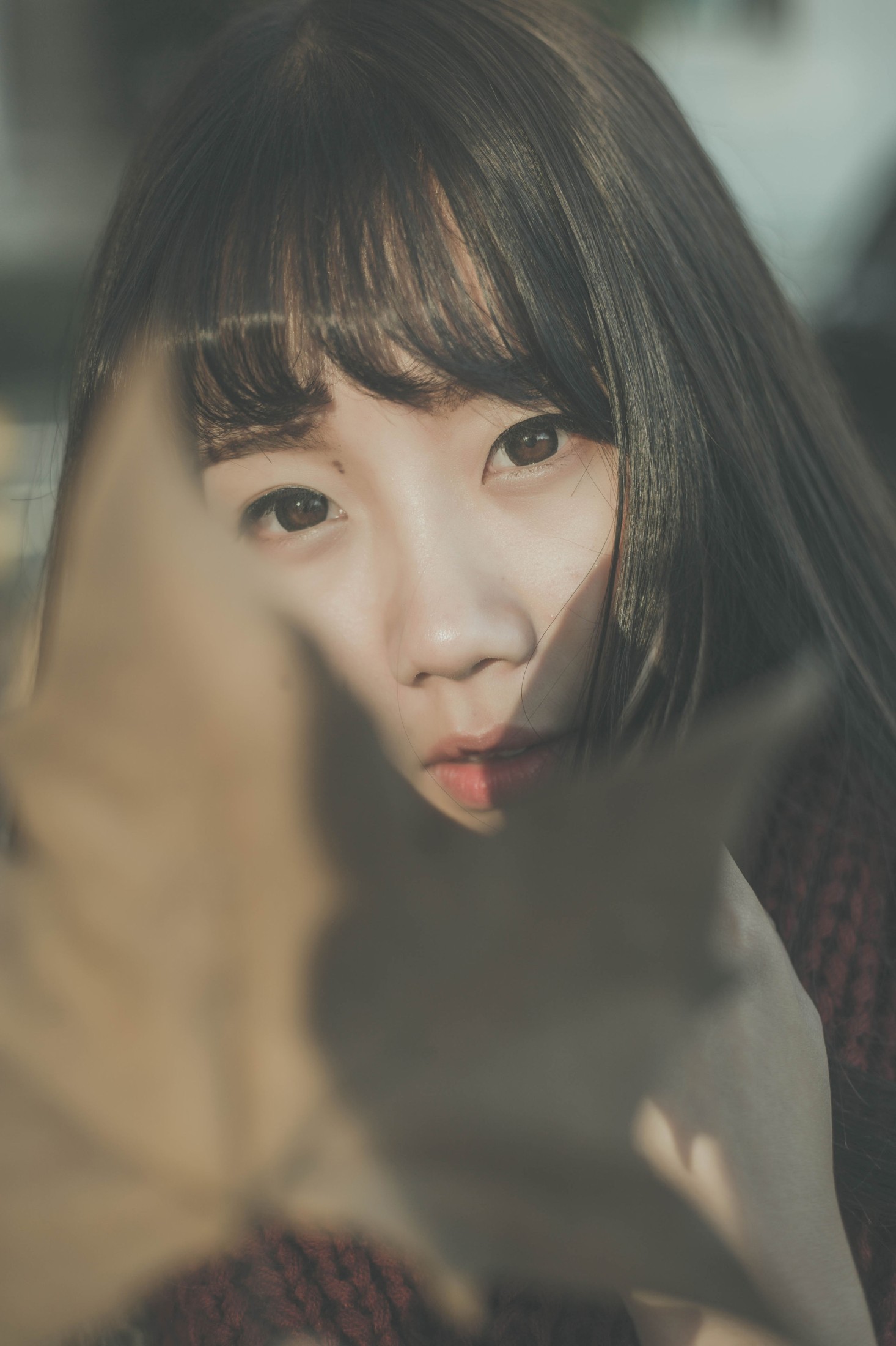图片[3] - 紫卿 - 《南国的冬》[26P] - 机器猫次元 - 机器猫次元