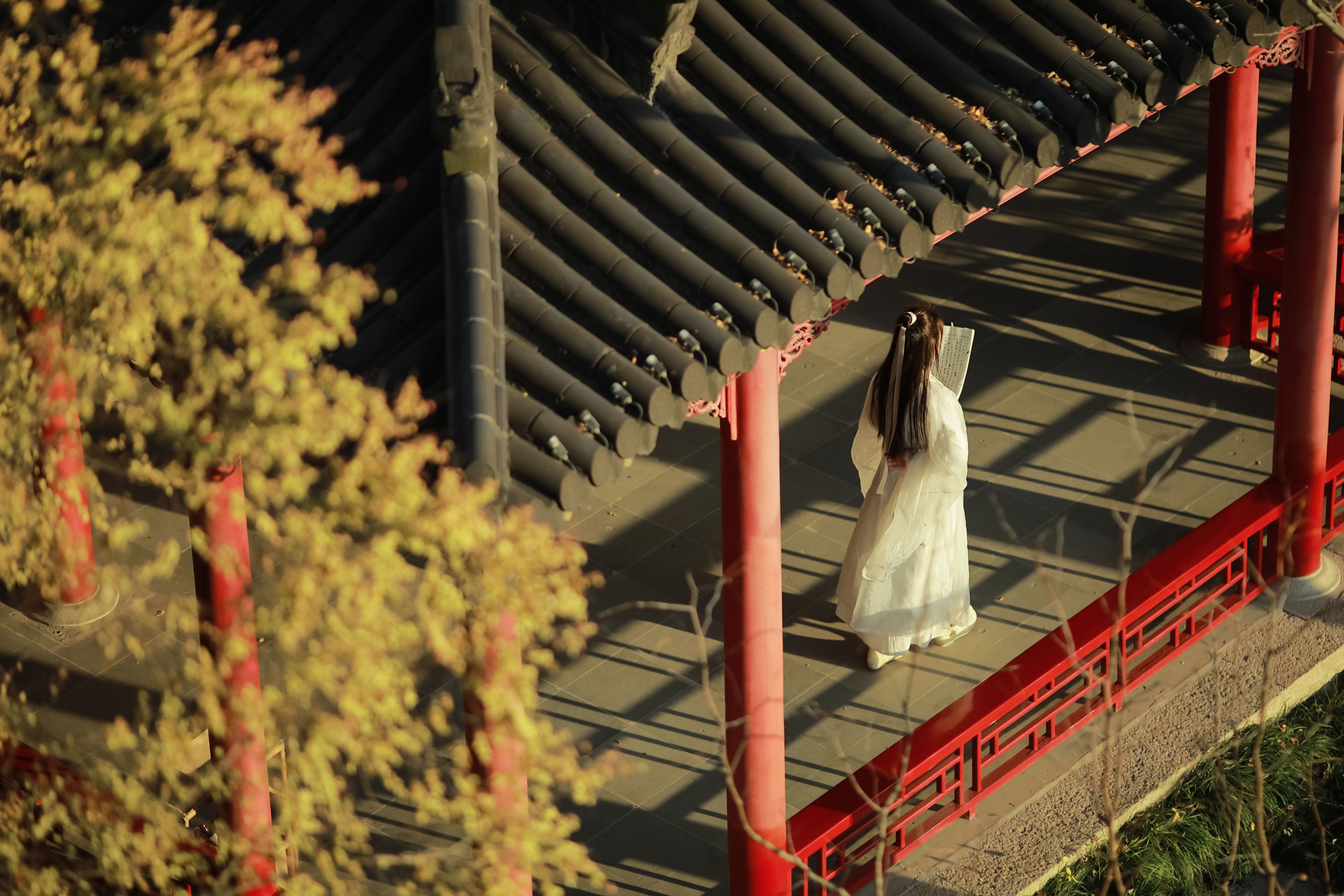 图片[6] - keikei白茶清欢 - 《恰同学少年》[22P] - 机器猫次元 - 机器猫次元
