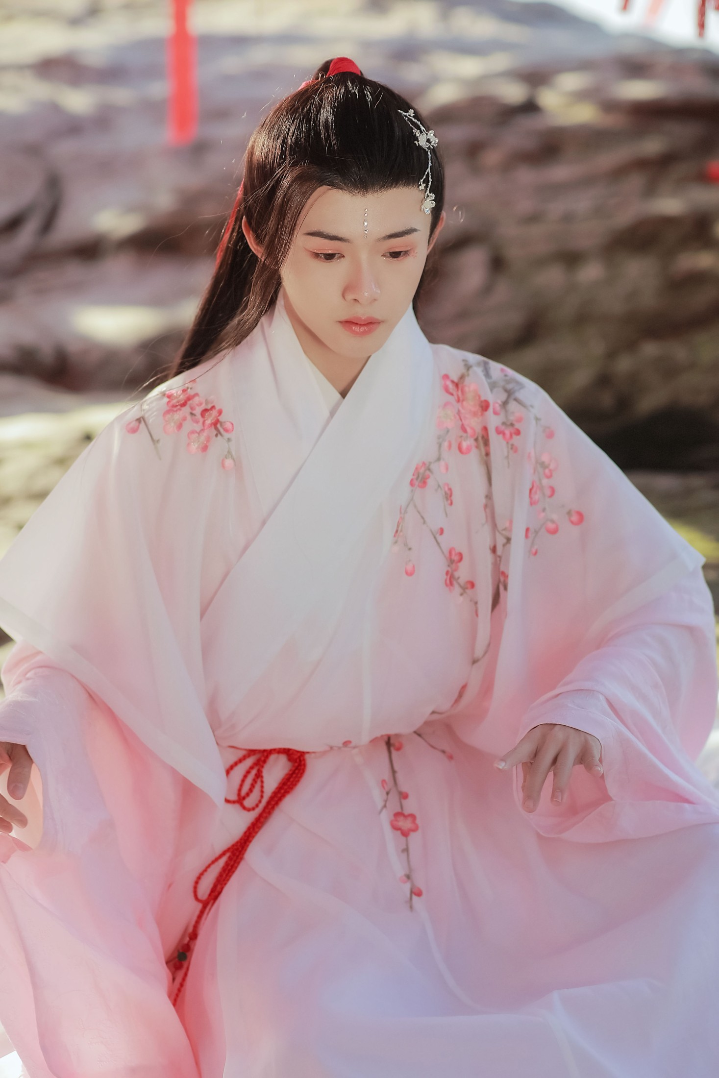 图片[3] - 陈家苇lucky - 《簪花郎》[22P] - 机器猫次元 - 机器猫次元