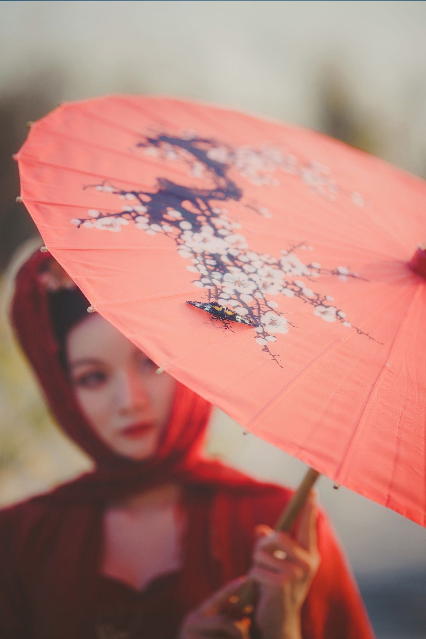 图片[6] - 曦曦 - 《惊鸿》[23P] - 机器猫次元 - 机器猫次元