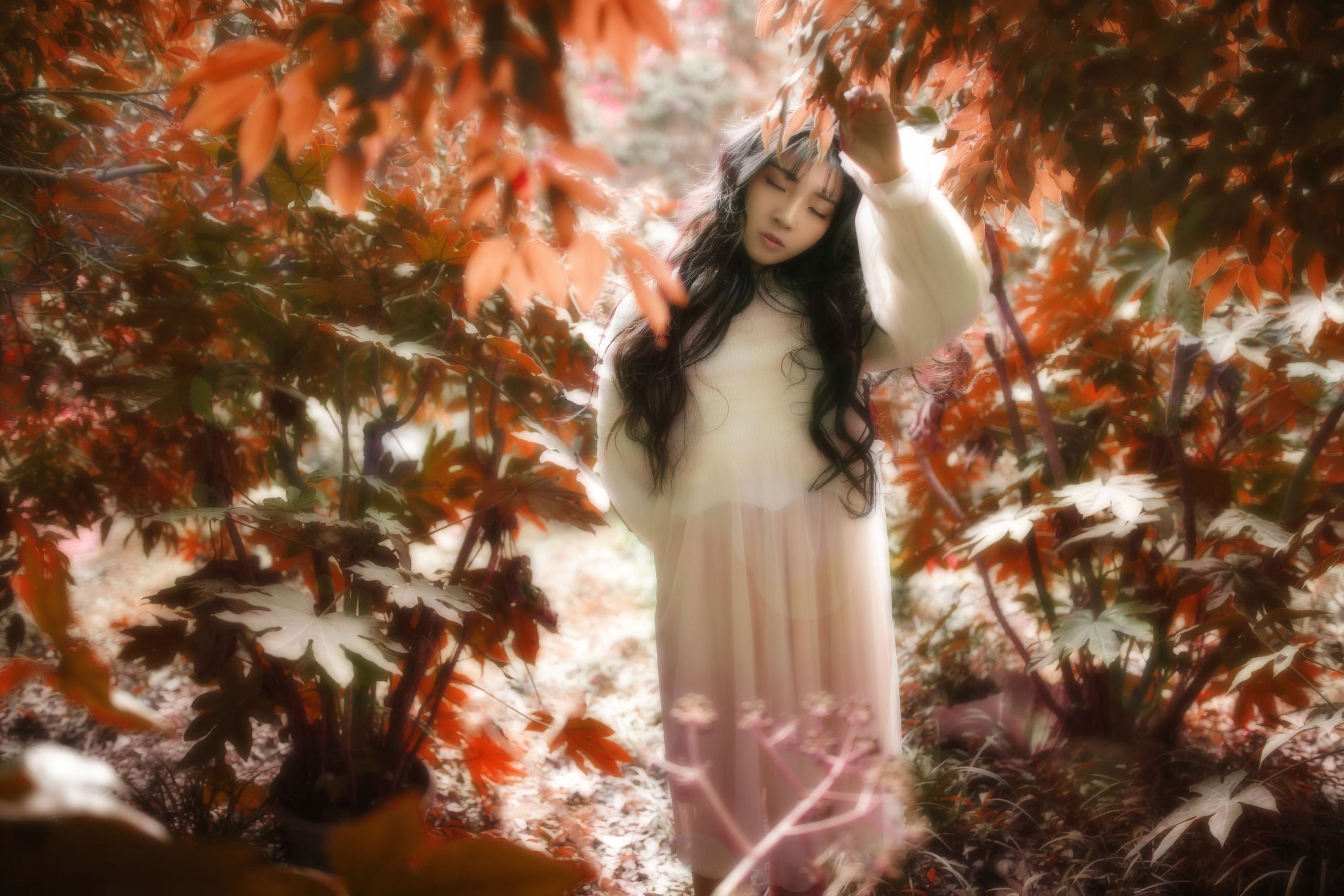 图片[7] - 婷哥 - 《你与梦的诗》[22P] - 机器猫次元 - 机器猫次元