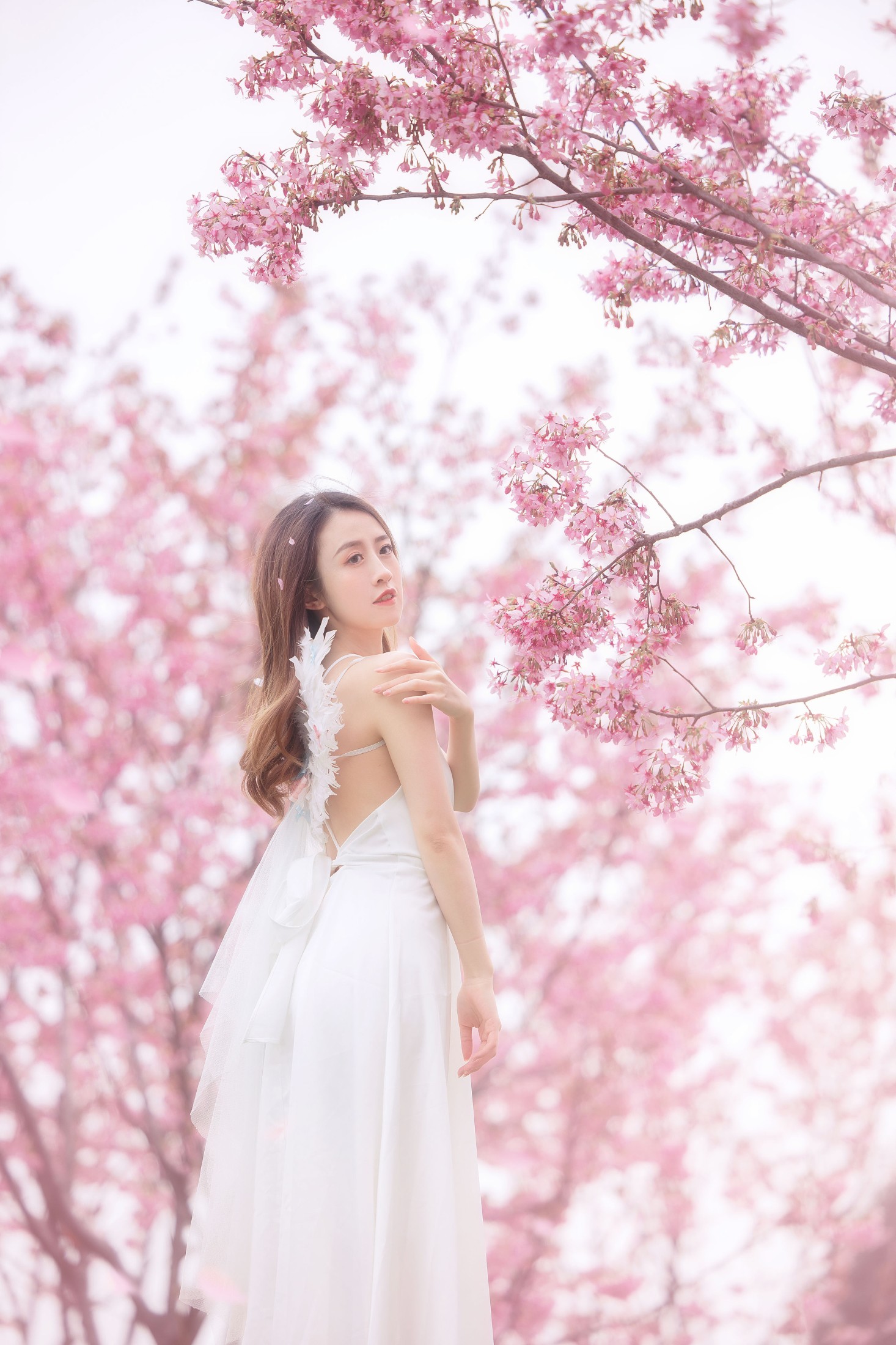 图片[5] - 子依 - 《樱花》[29P] - 机器猫次元 - 机器猫次元